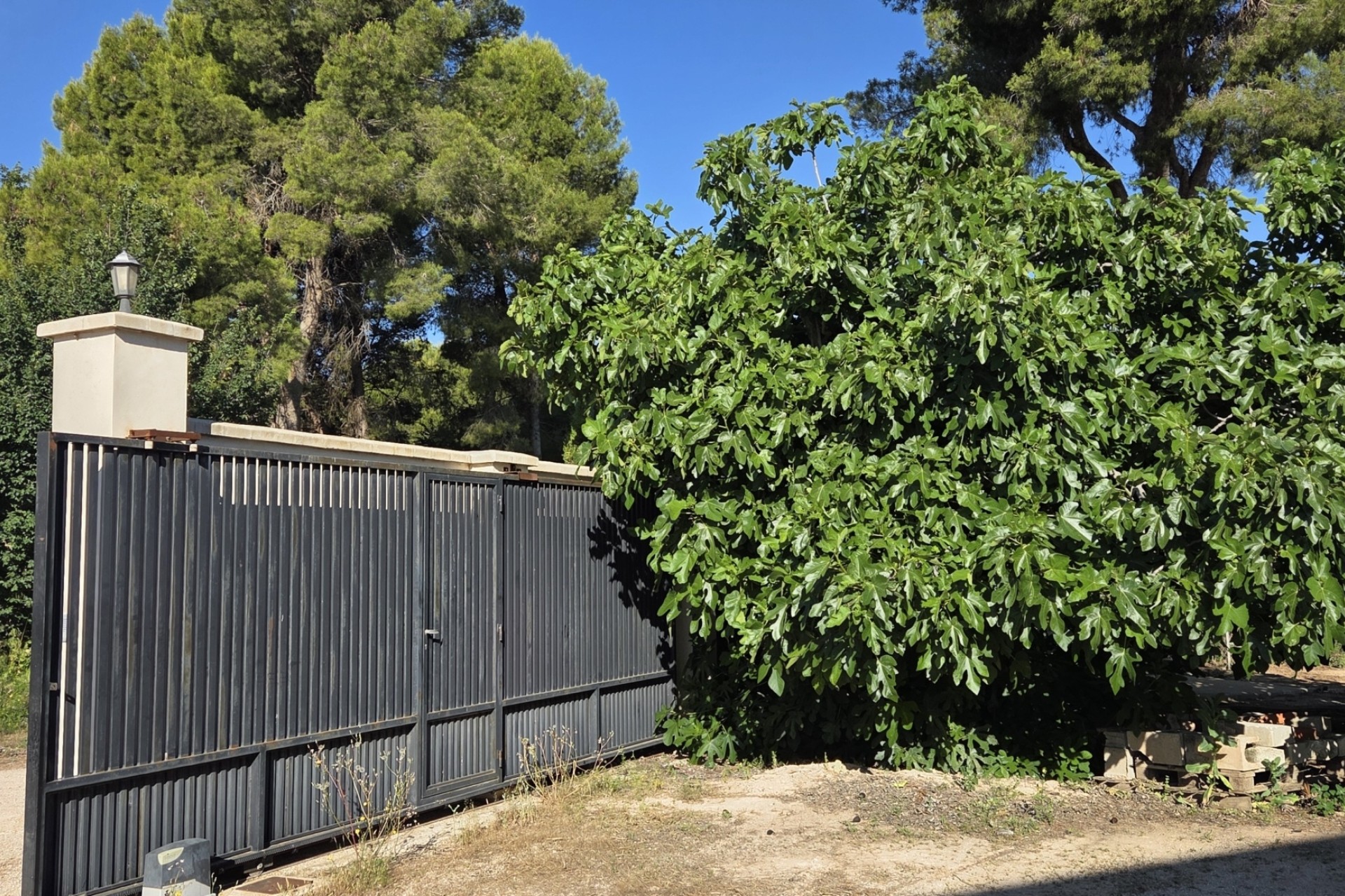 Revente - Finca / Propriété rurale -
Yecla
