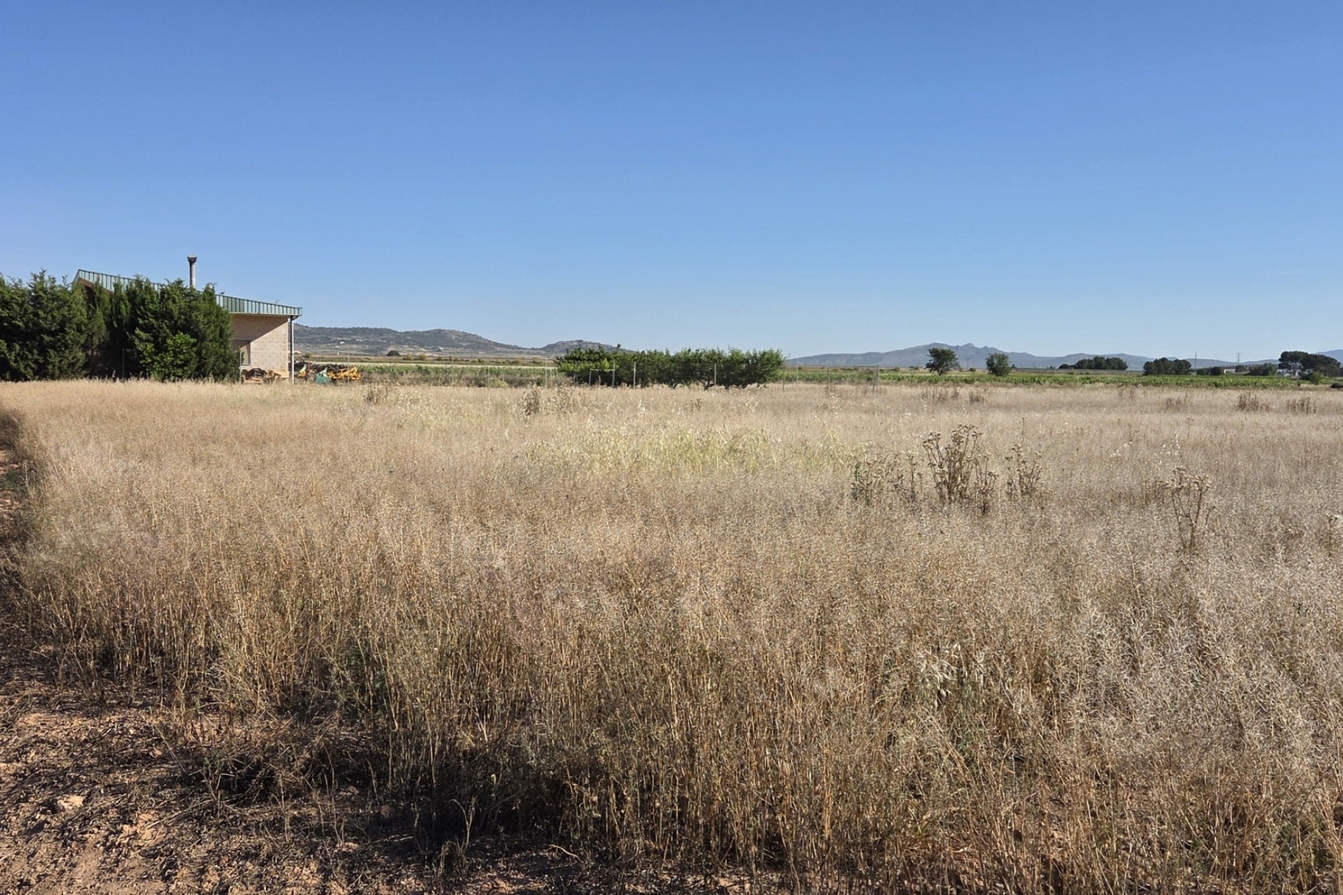 Revente - Finca / Propriété rurale -
Yecla