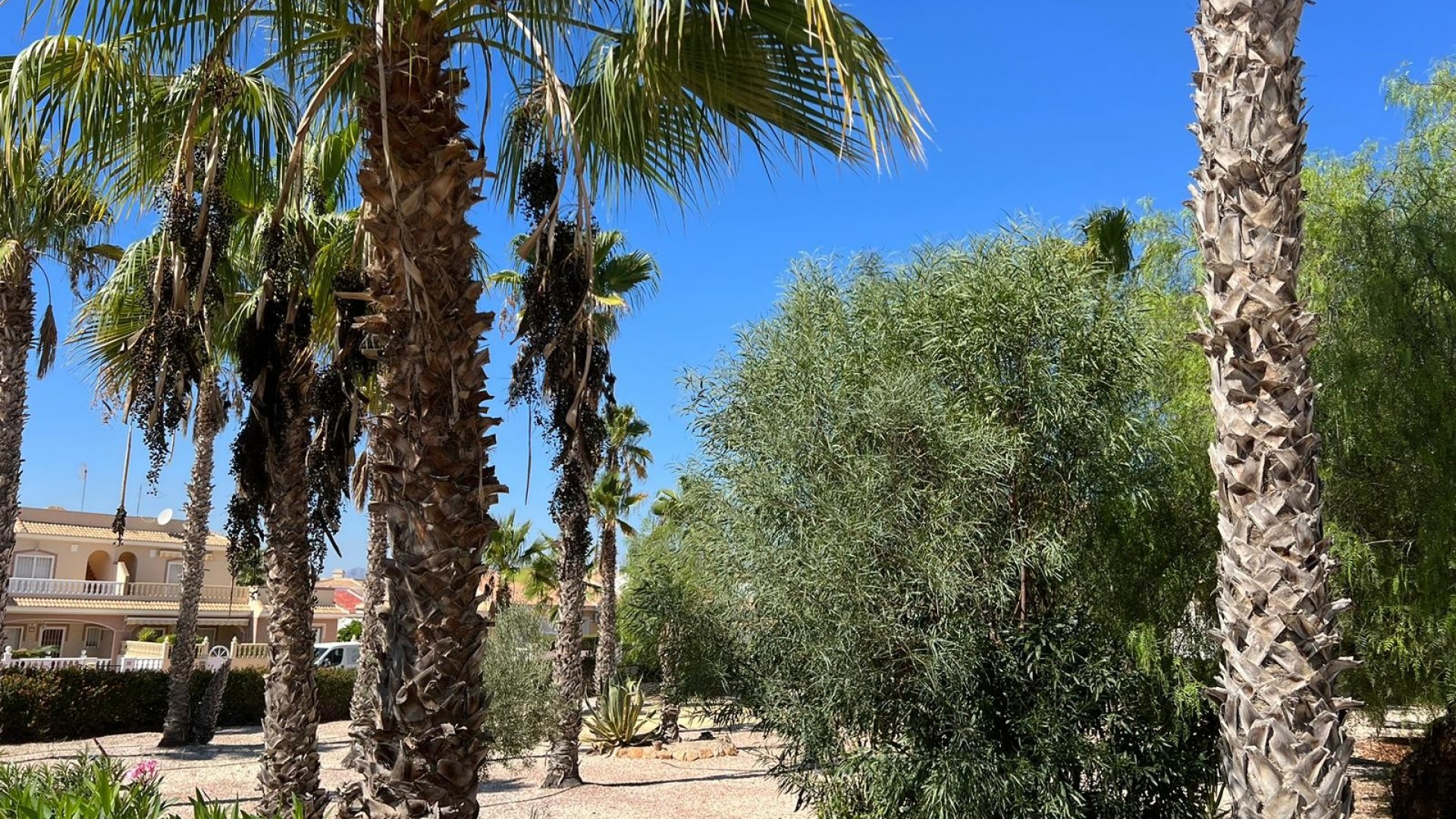 Revente - Maison de ville -
Benijofar - Monte Azul