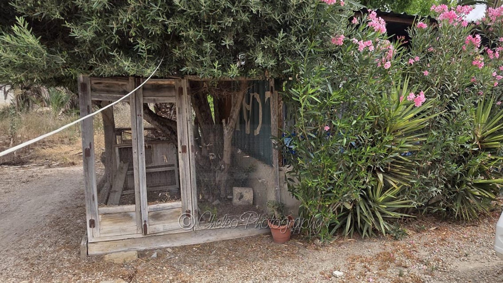 Revente - Maison de ville -
Catral - CatralAlicanteValenciaSpain