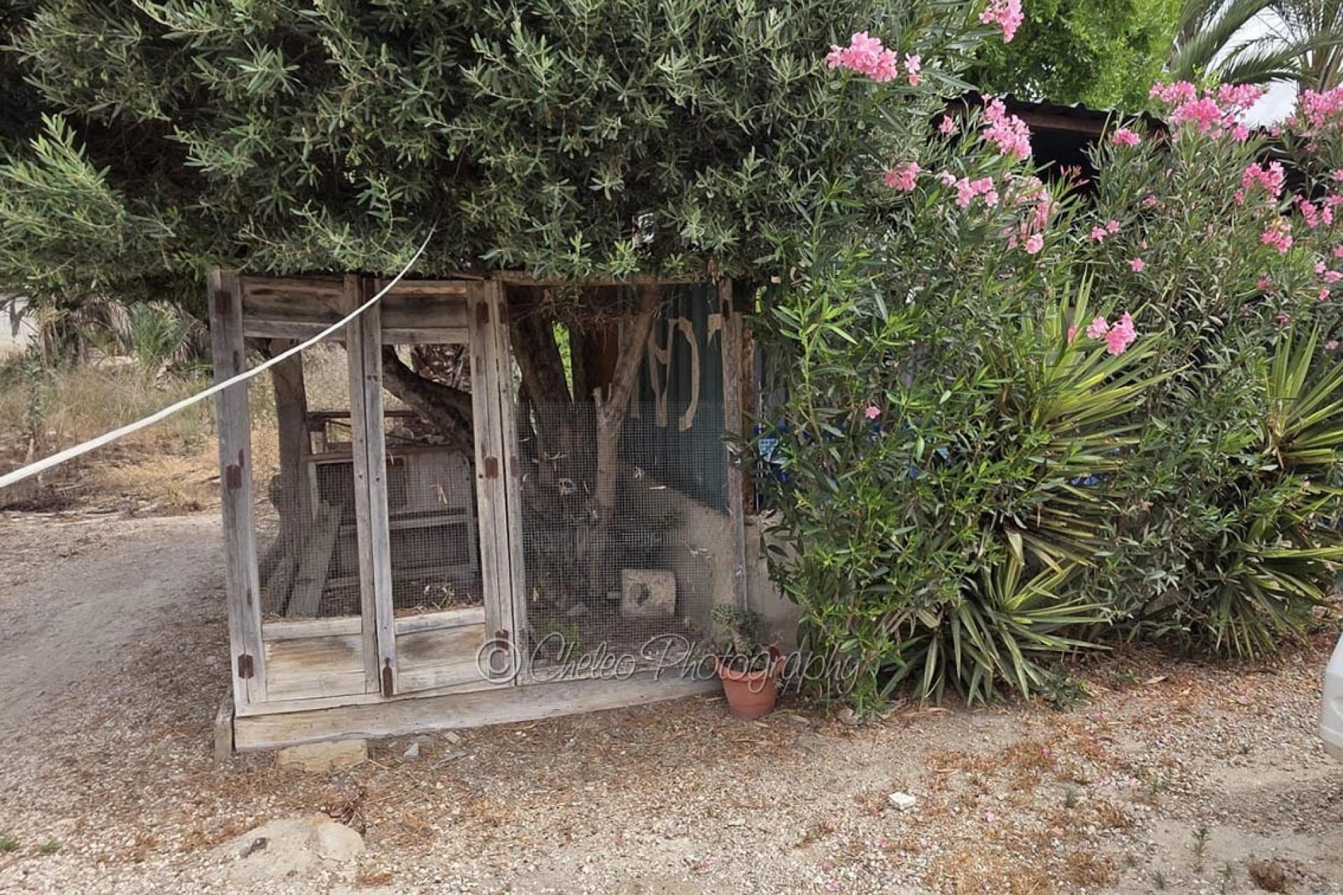 Revente - Maison de ville -
Catral - CatralAlicanteValenciaSpain