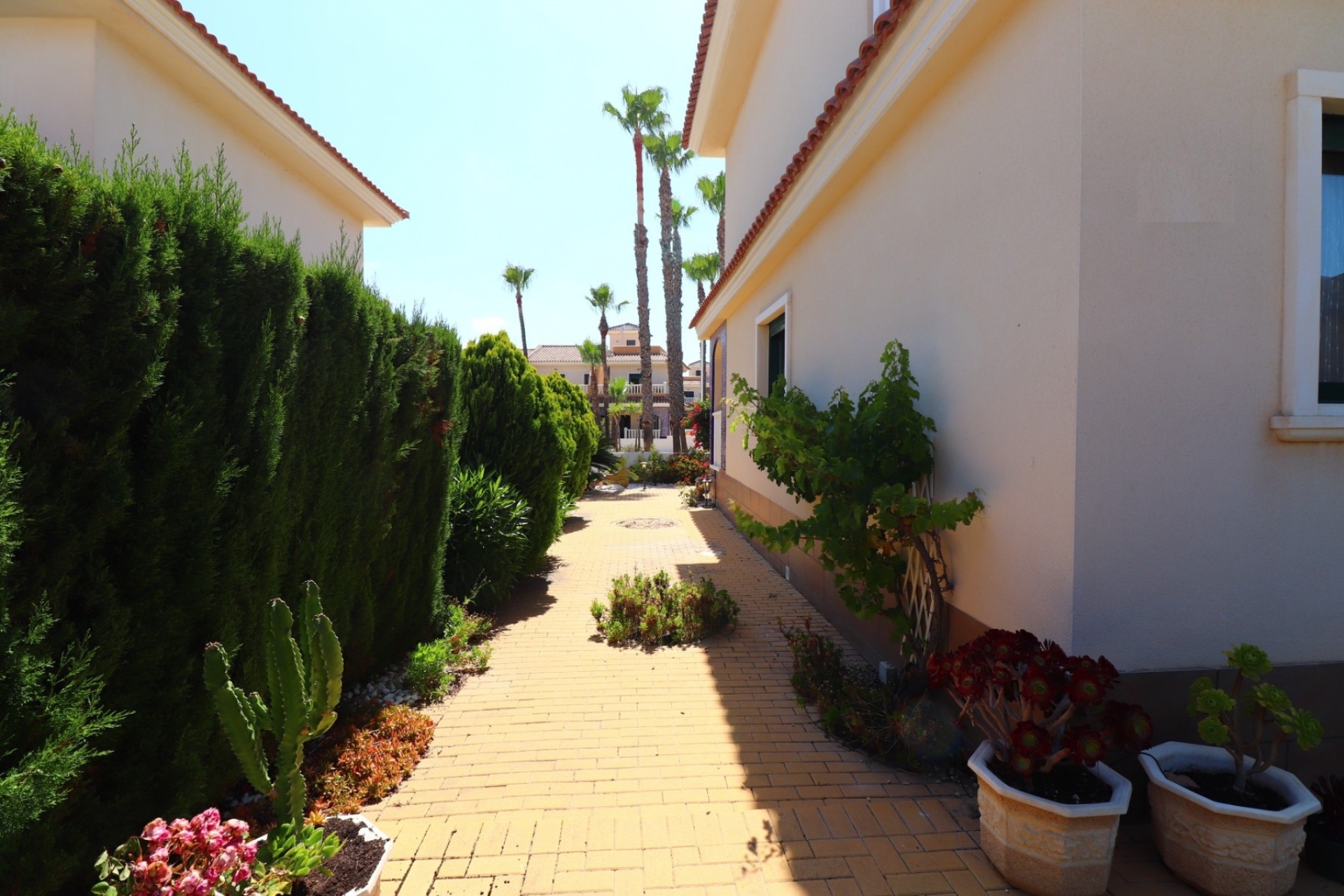 Revente - Maison de ville -
Ciudad Quesada - Rojales - Doña Pepa