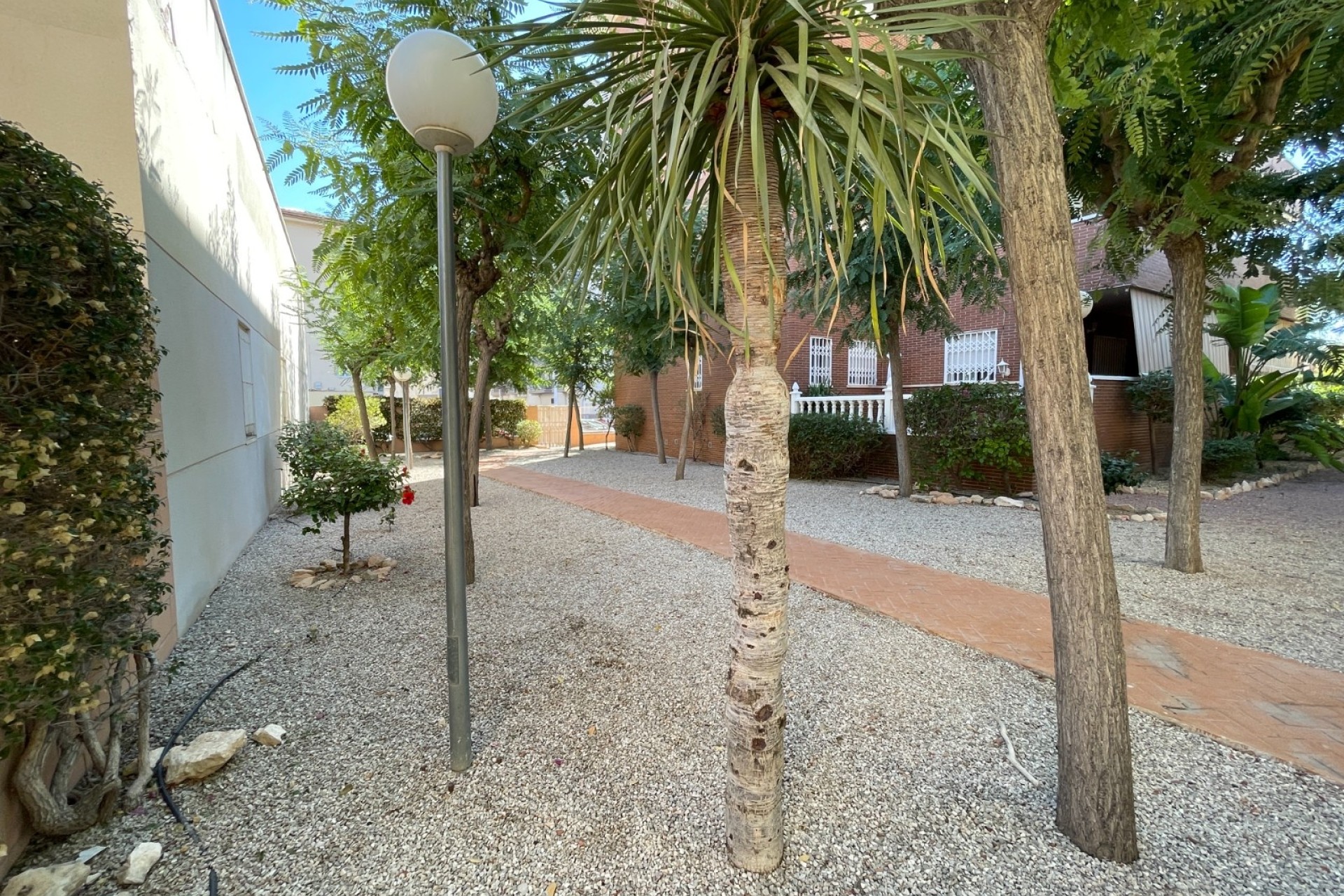 Revente - Maison de ville -
Elche - Center