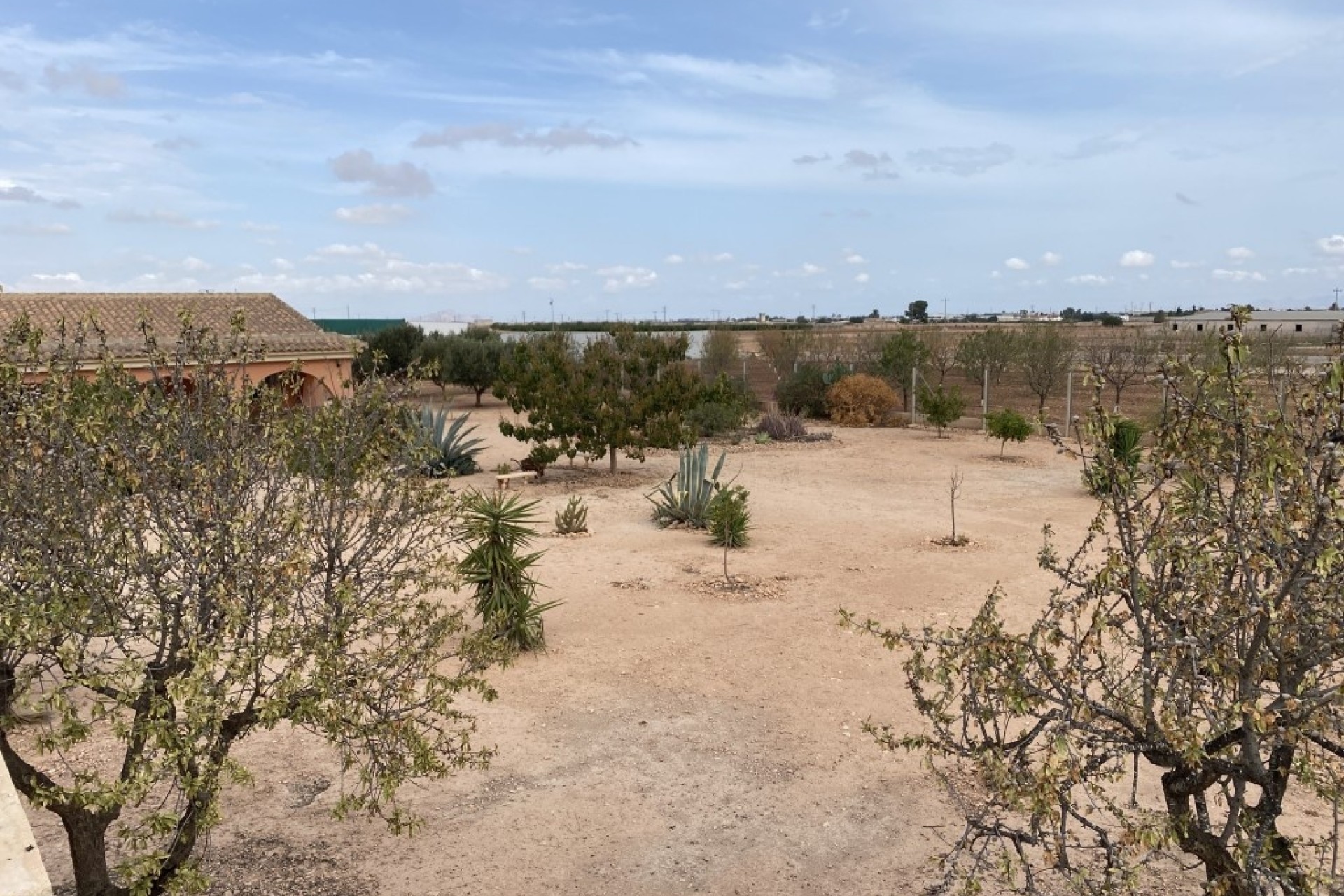 Revente - Maison de ville -
Fuente Álamo