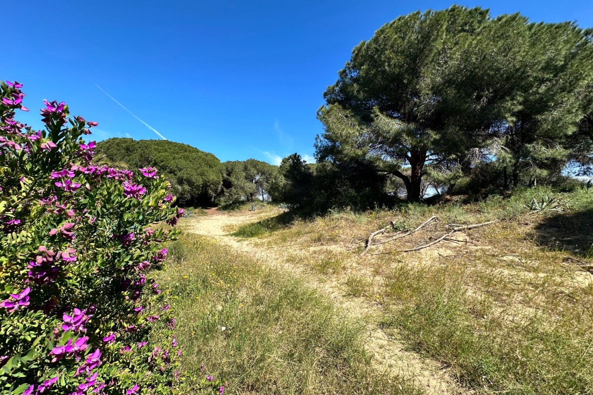 Revente - Maison de ville -
Guardamar del Segura - Costa Blanca