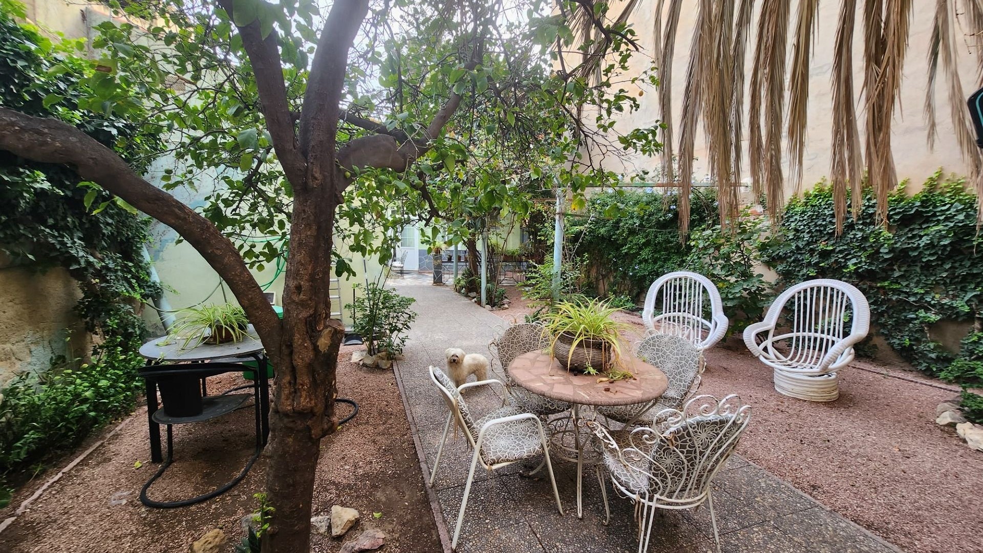 Revente - Maison de ville -
Monóvar