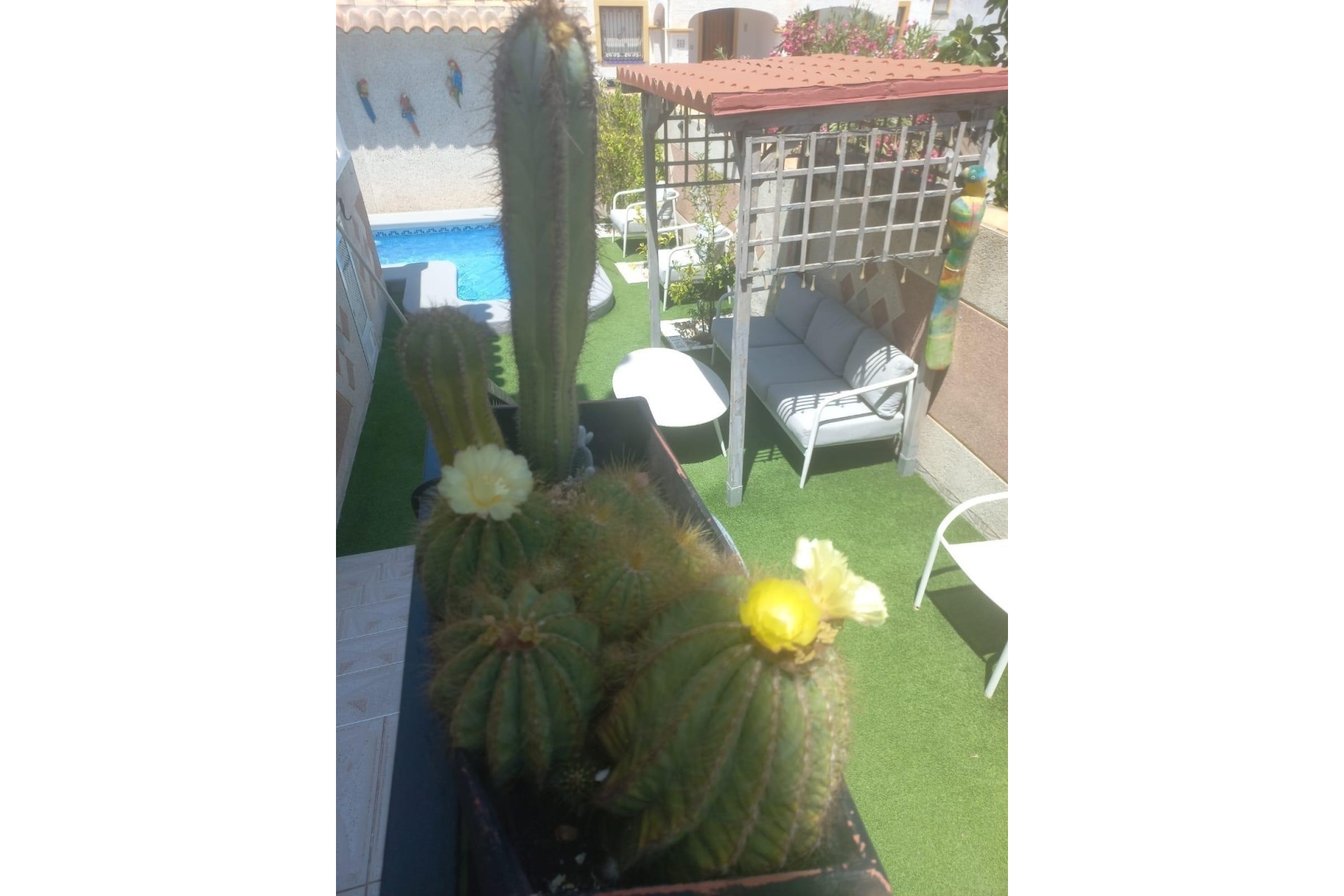 Revente - Maison de ville -
Orihuela Costa - Los Almendros-la Florida