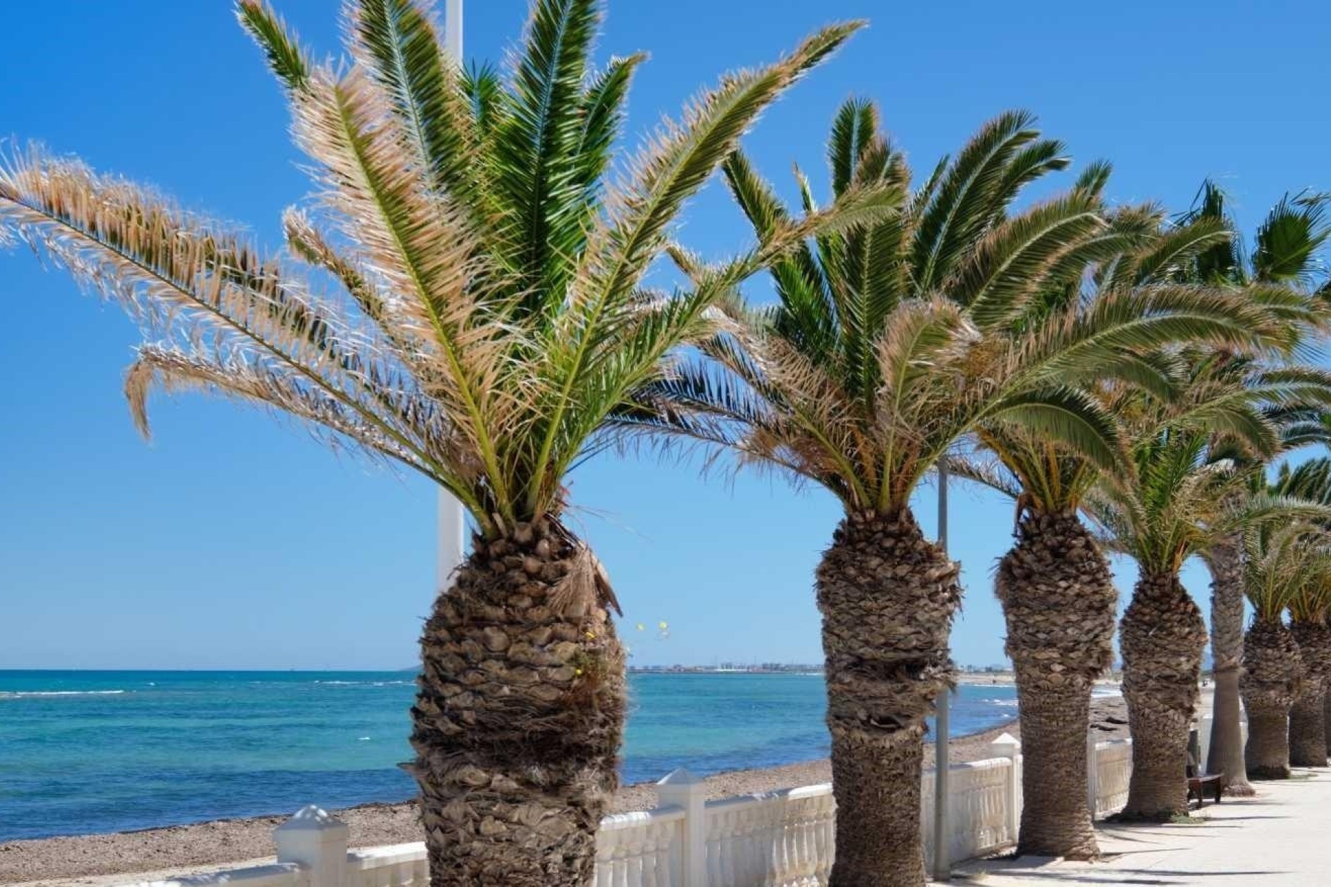 Revente - Maison de ville -
Pilar de la Horadada - Torre de la Horadada