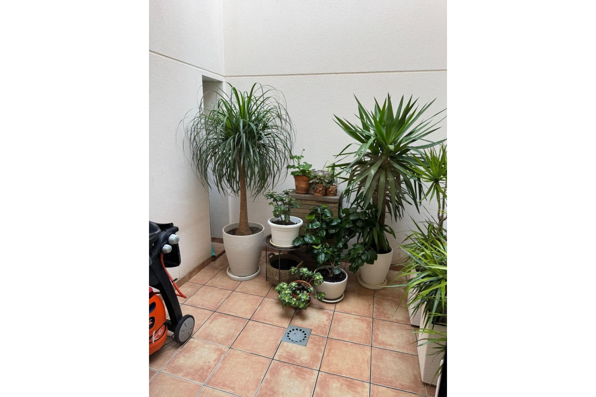 Revente - Maison de ville -
Torrevieja - Punta Prima