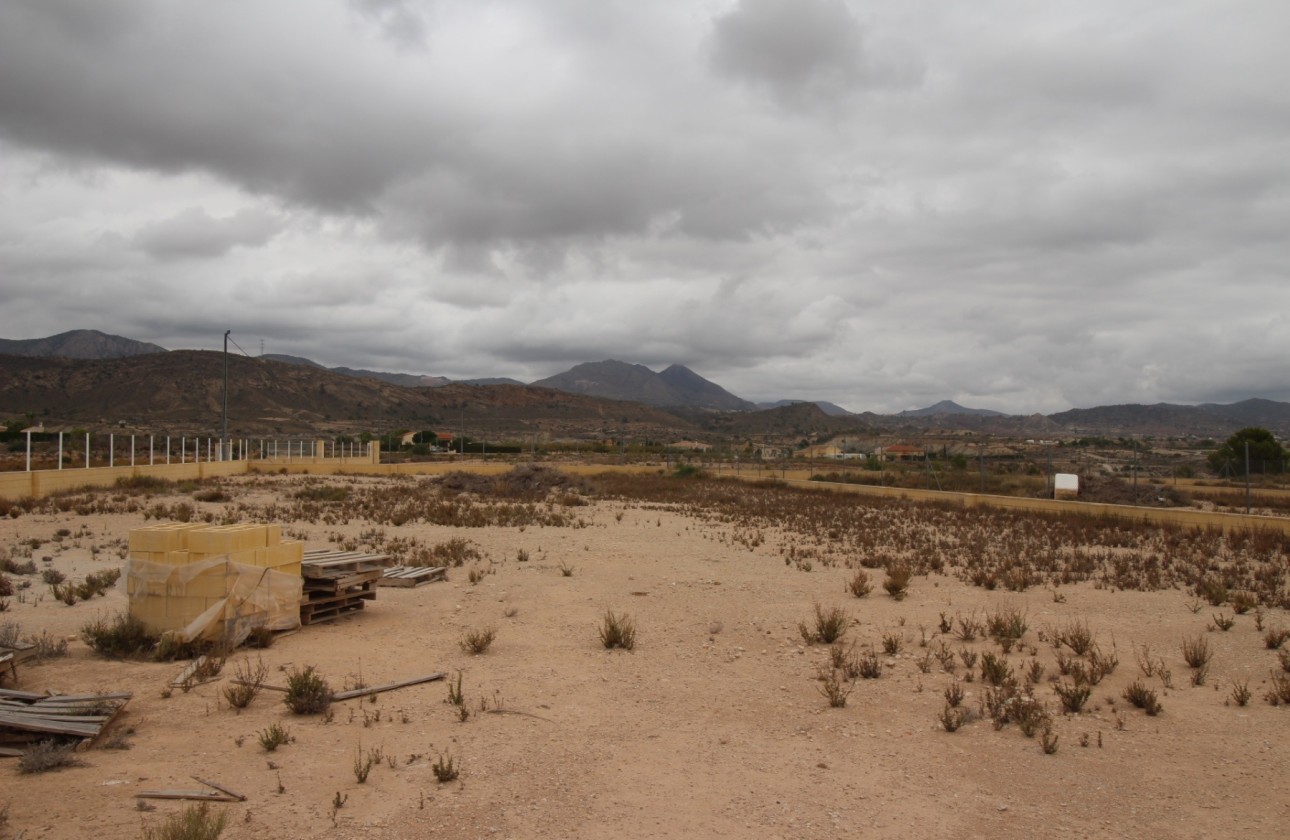 Revente - Parcelle Terrain -
Abanilla