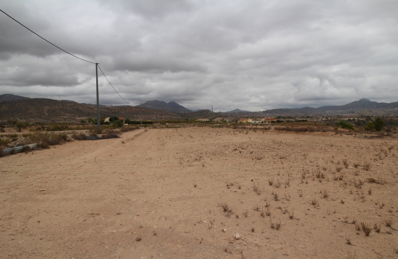 Revente - Parcelle Terrain -
Abanilla