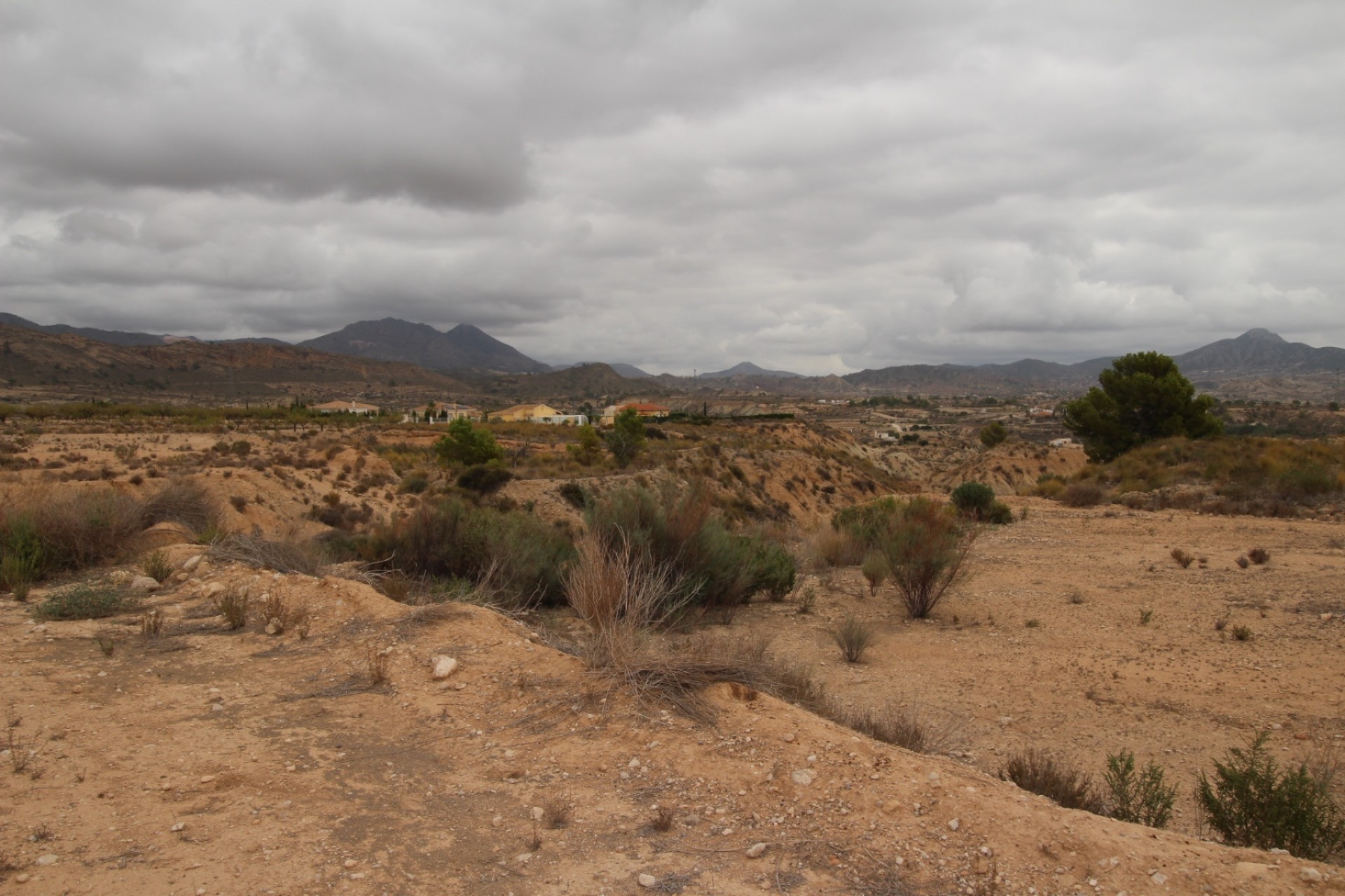 Revente - Parcelle Terrain -
Abanilla