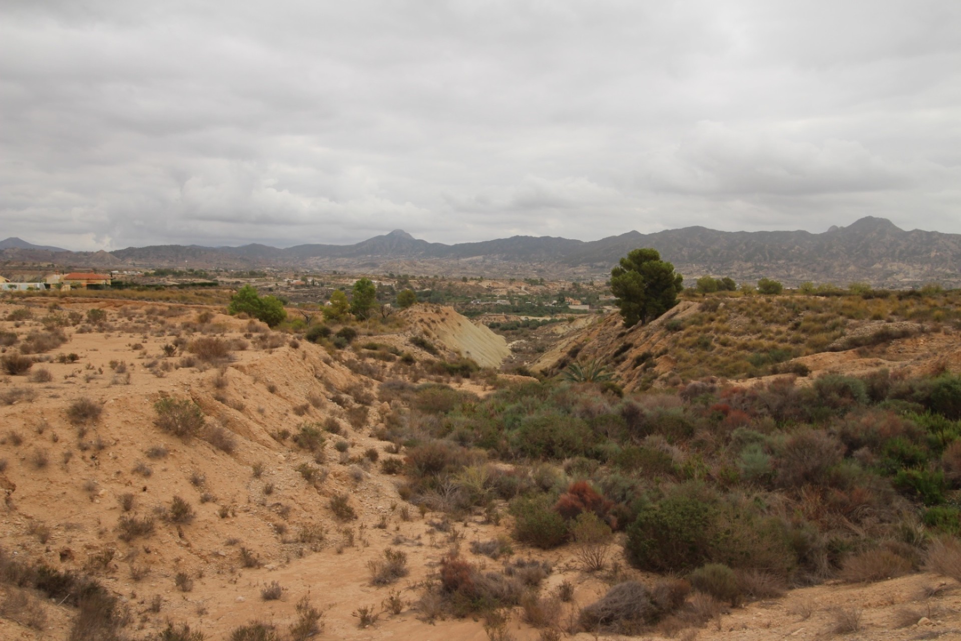 Revente - Parcelle Terrain -
Abanilla