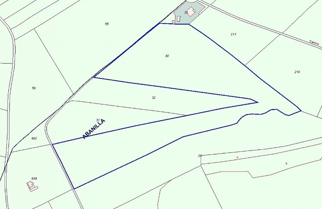 Revente - Parcelle Terrain -
Abanilla