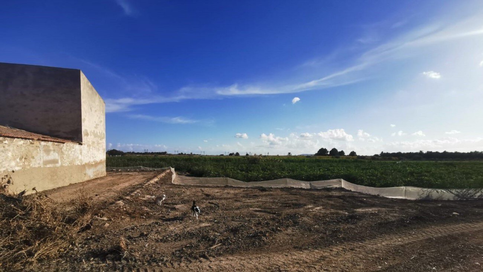 Revente - Parcelle Terrain -
Albatera