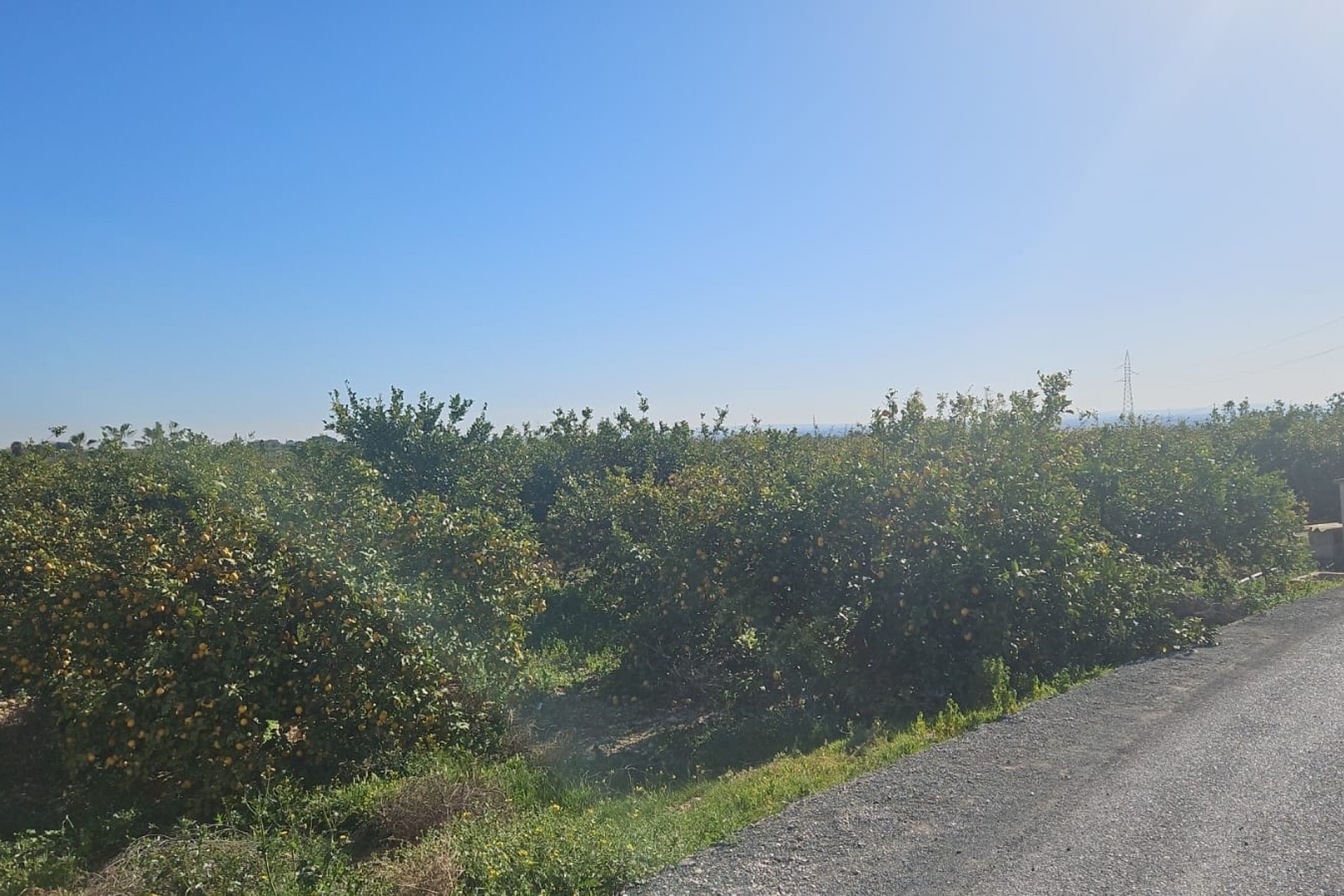 Revente - Parcelle Terrain -
Albatera