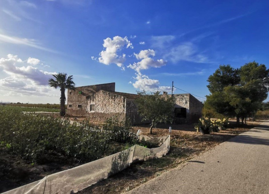 Revente - Parcelle Terrain -
Albatera