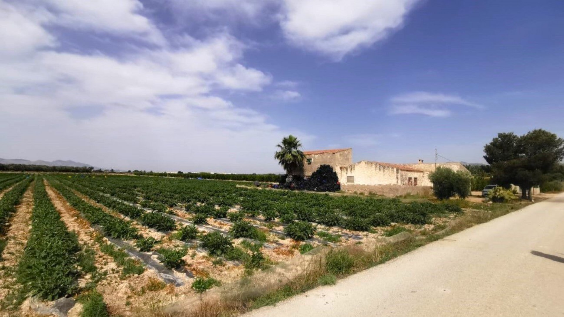 Revente - Parcelle Terrain -
Albatera