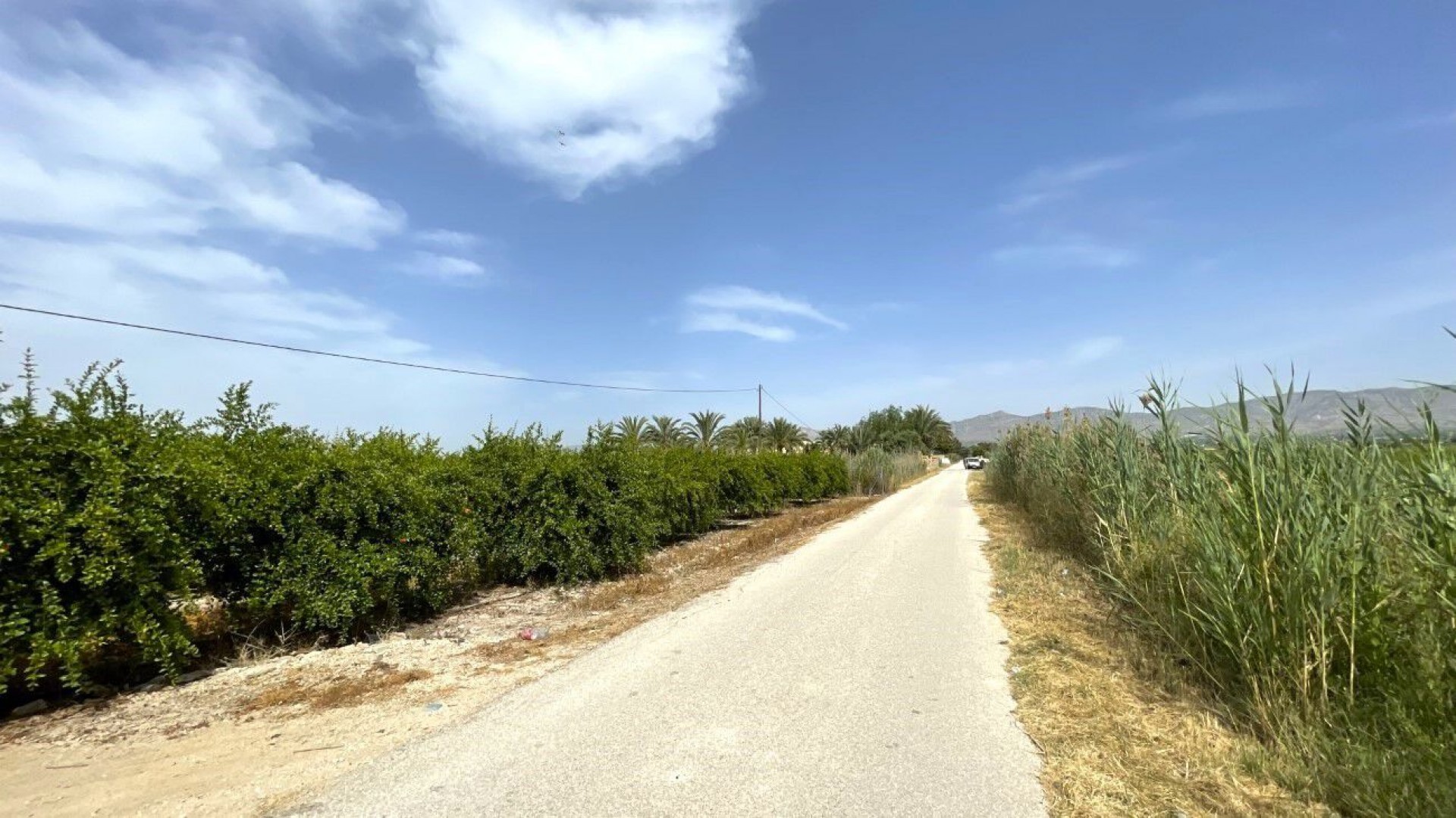 Revente - Parcelle Terrain -
Albatera