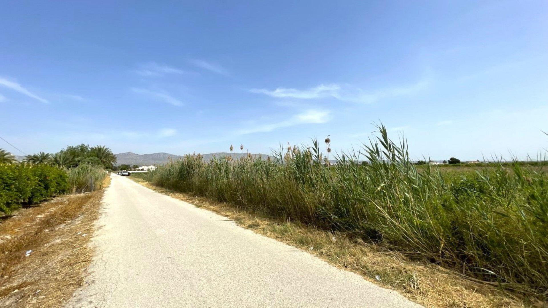 Revente - Parcelle Terrain -
Albatera