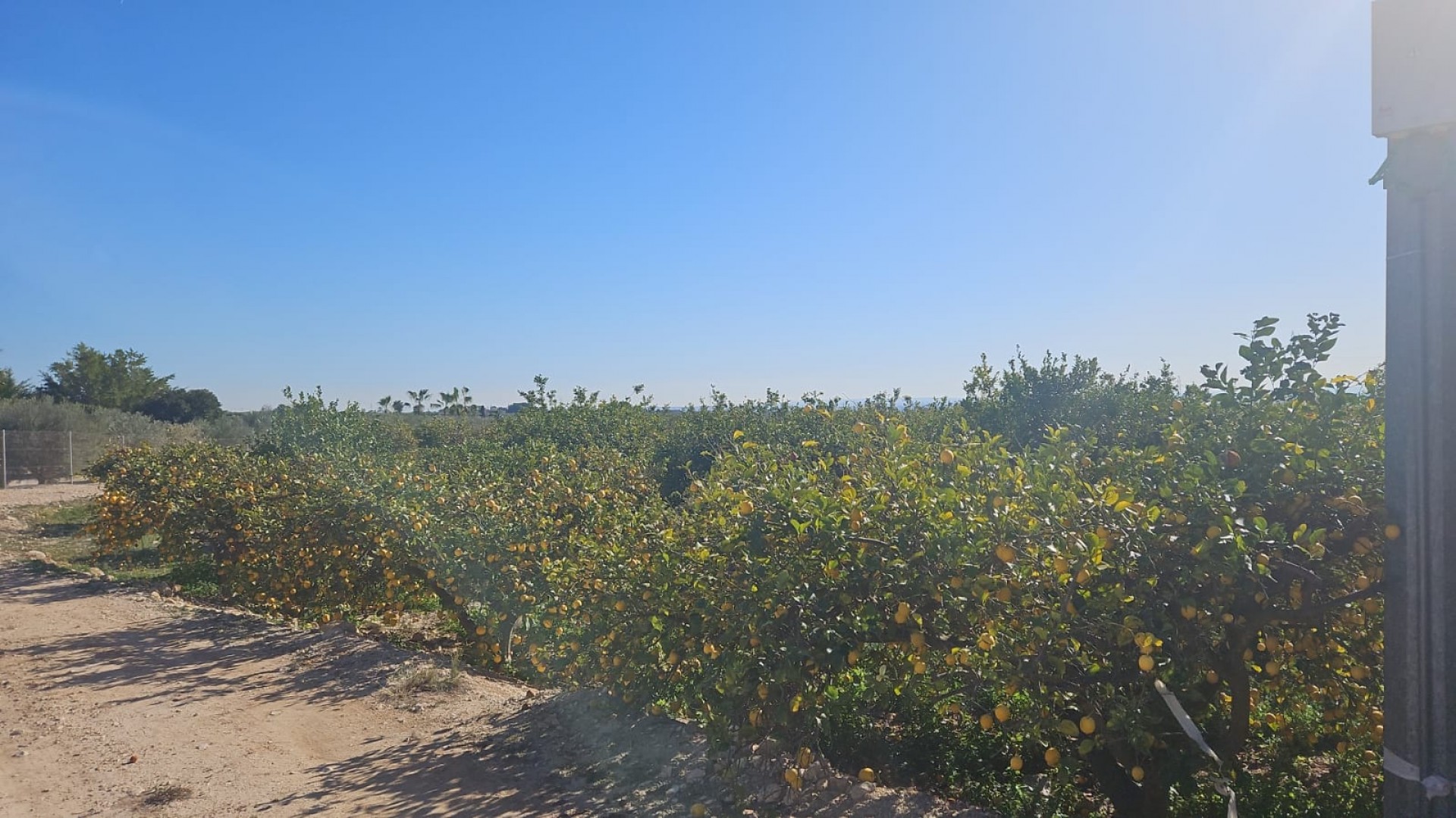 Revente - Parcelle Terrain -
Albatera