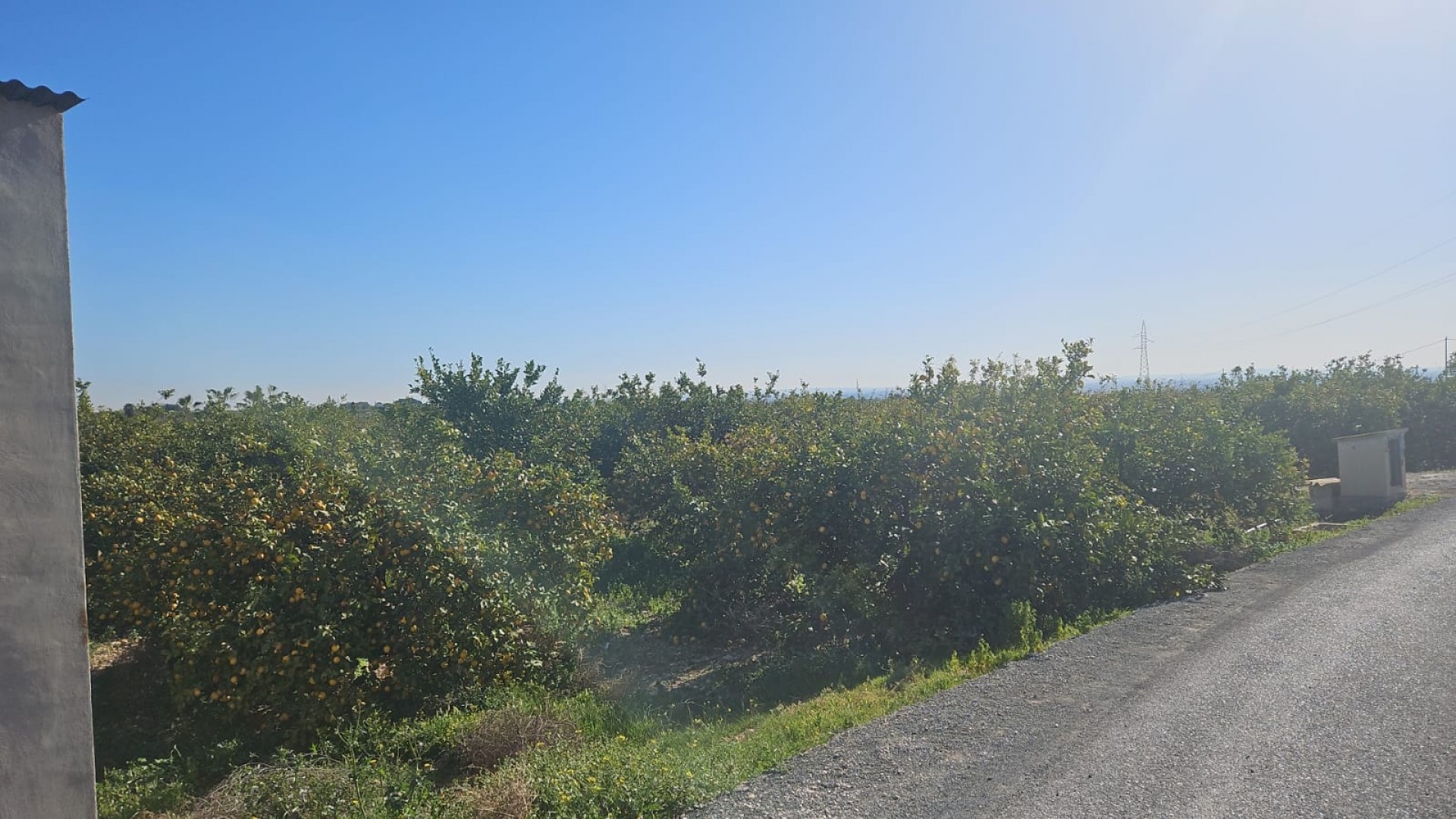 Revente - Parcelle Terrain -
Albatera