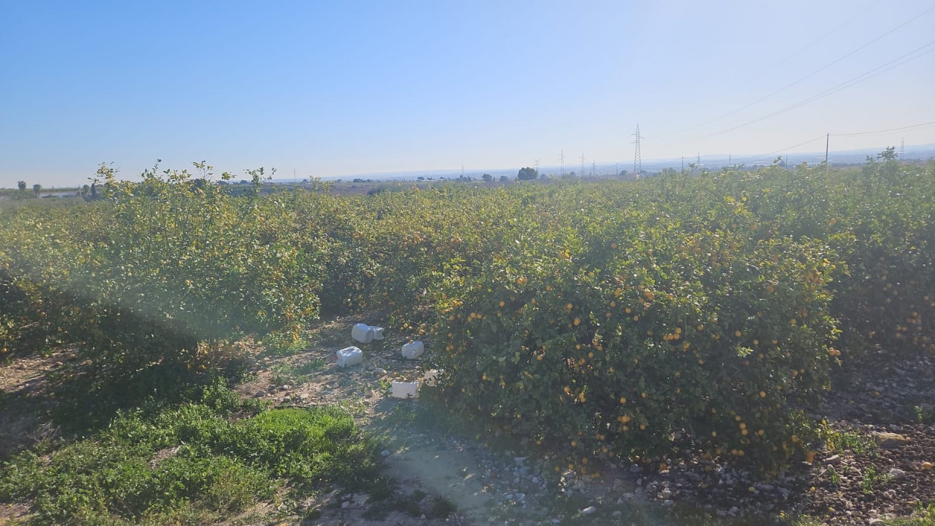 Revente - Parcelle Terrain -
Albatera