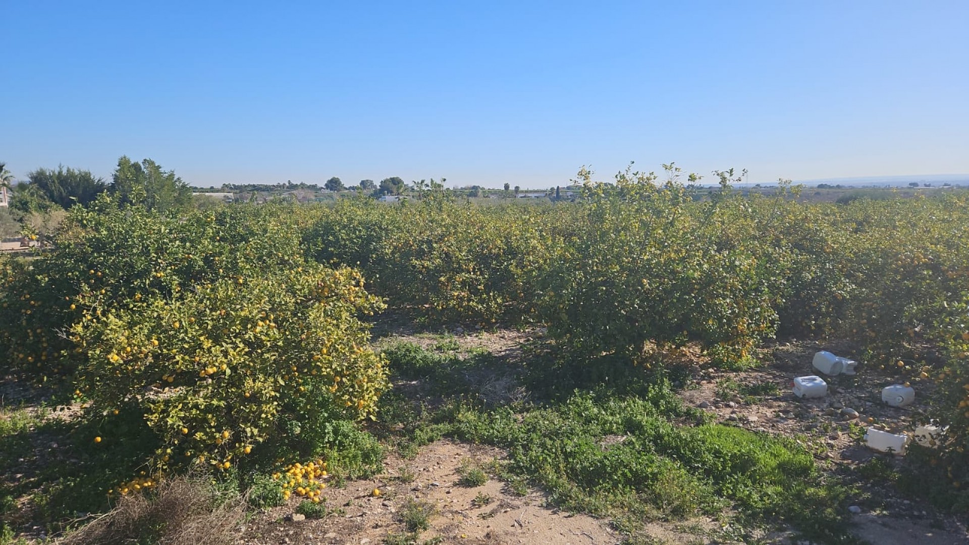 Revente - Parcelle Terrain -
Albatera