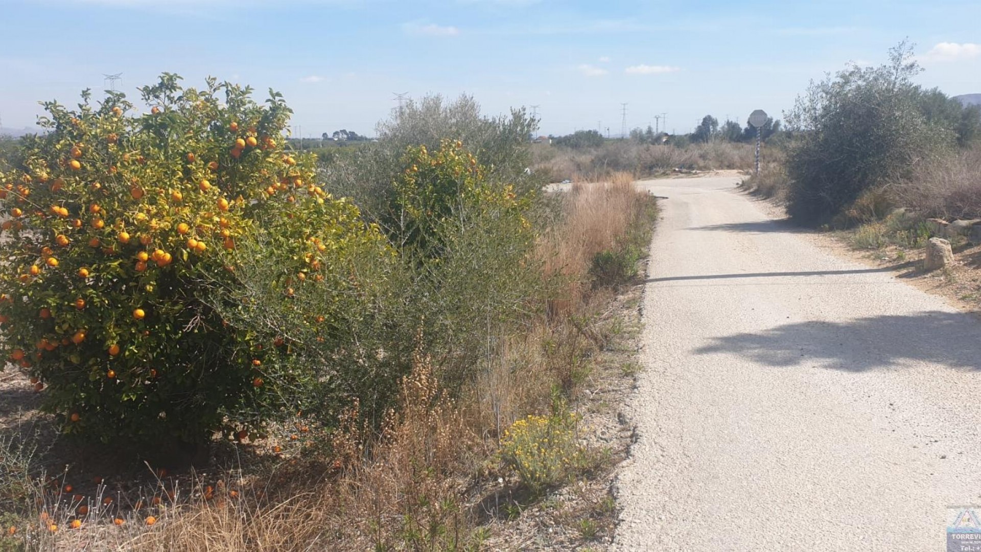 Revente - Parcelle Terrain -
Benferri - HUERTA PUEBLO