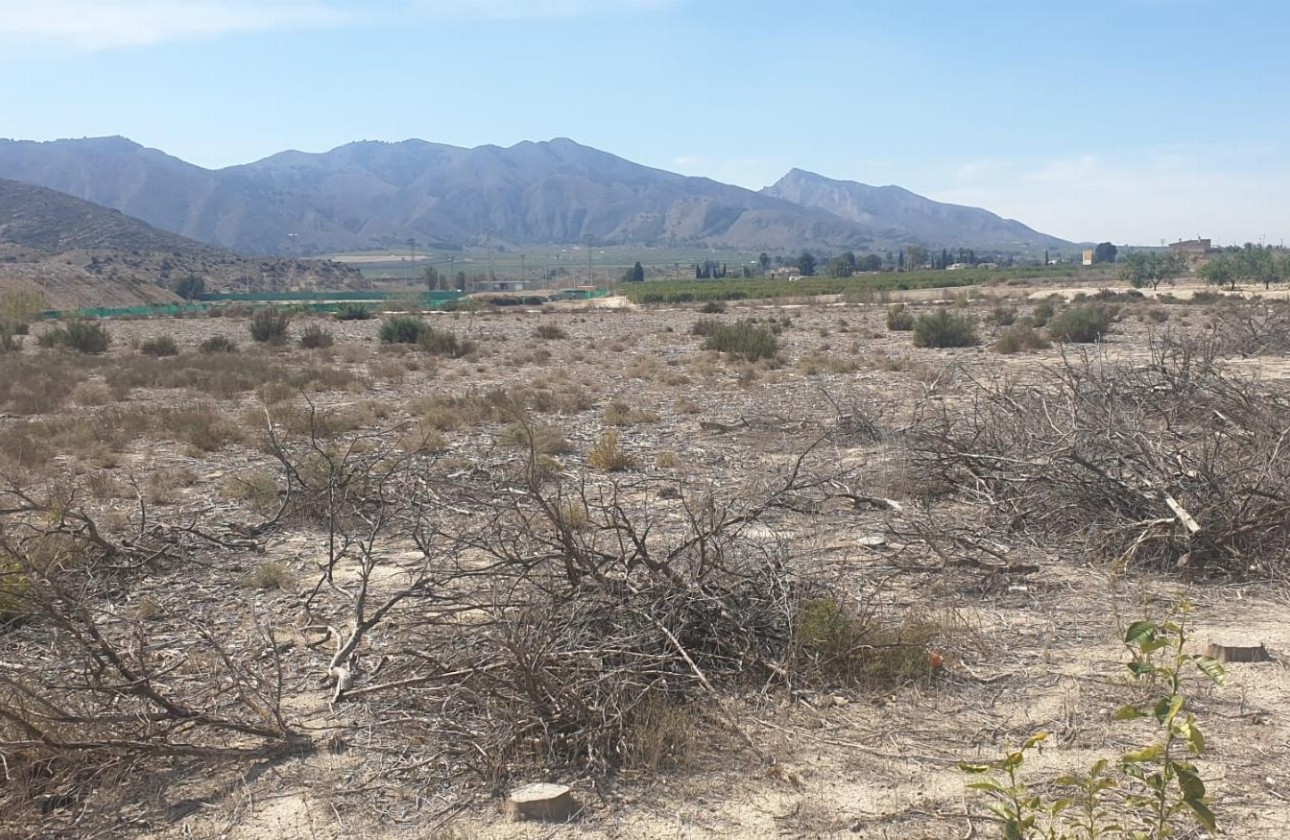 Revente - Parcelle Terrain -
Benferri - HUERTA PUEBLO