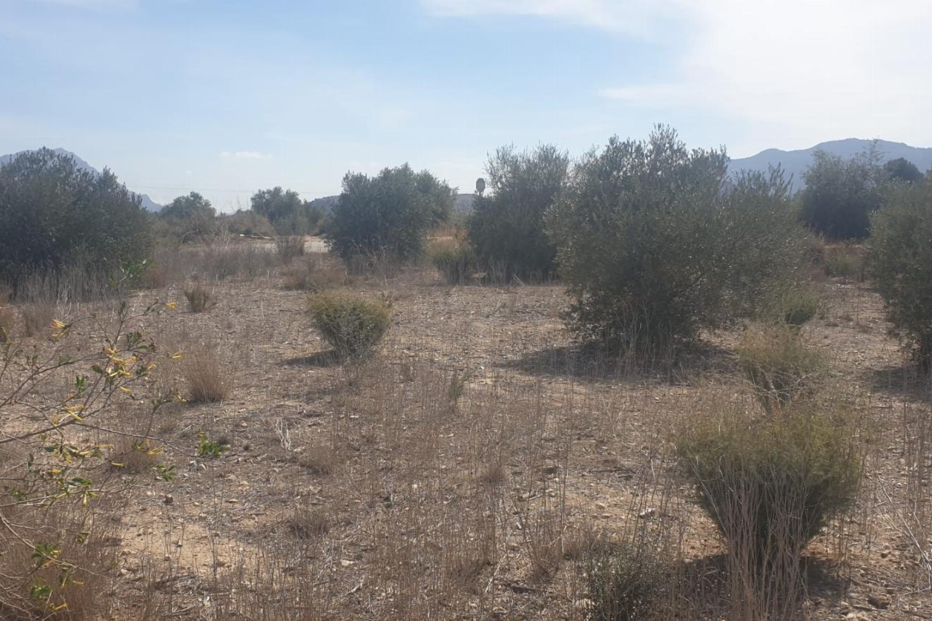 Revente - Parcelle Terrain -
Benferri - HUERTA PUEBLO