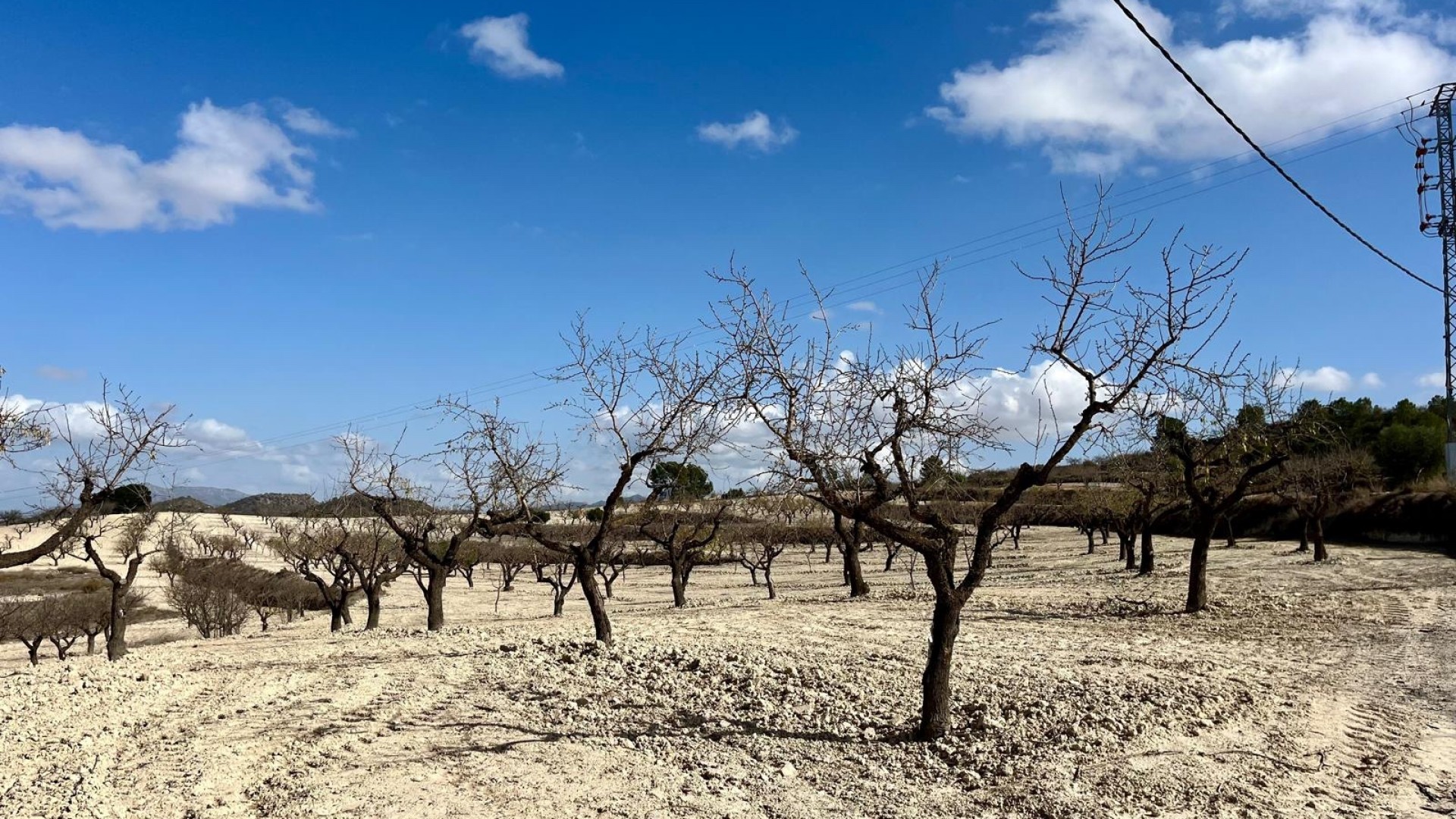 Revente - Parcelle Terrain -
Bullas - Costa Calida