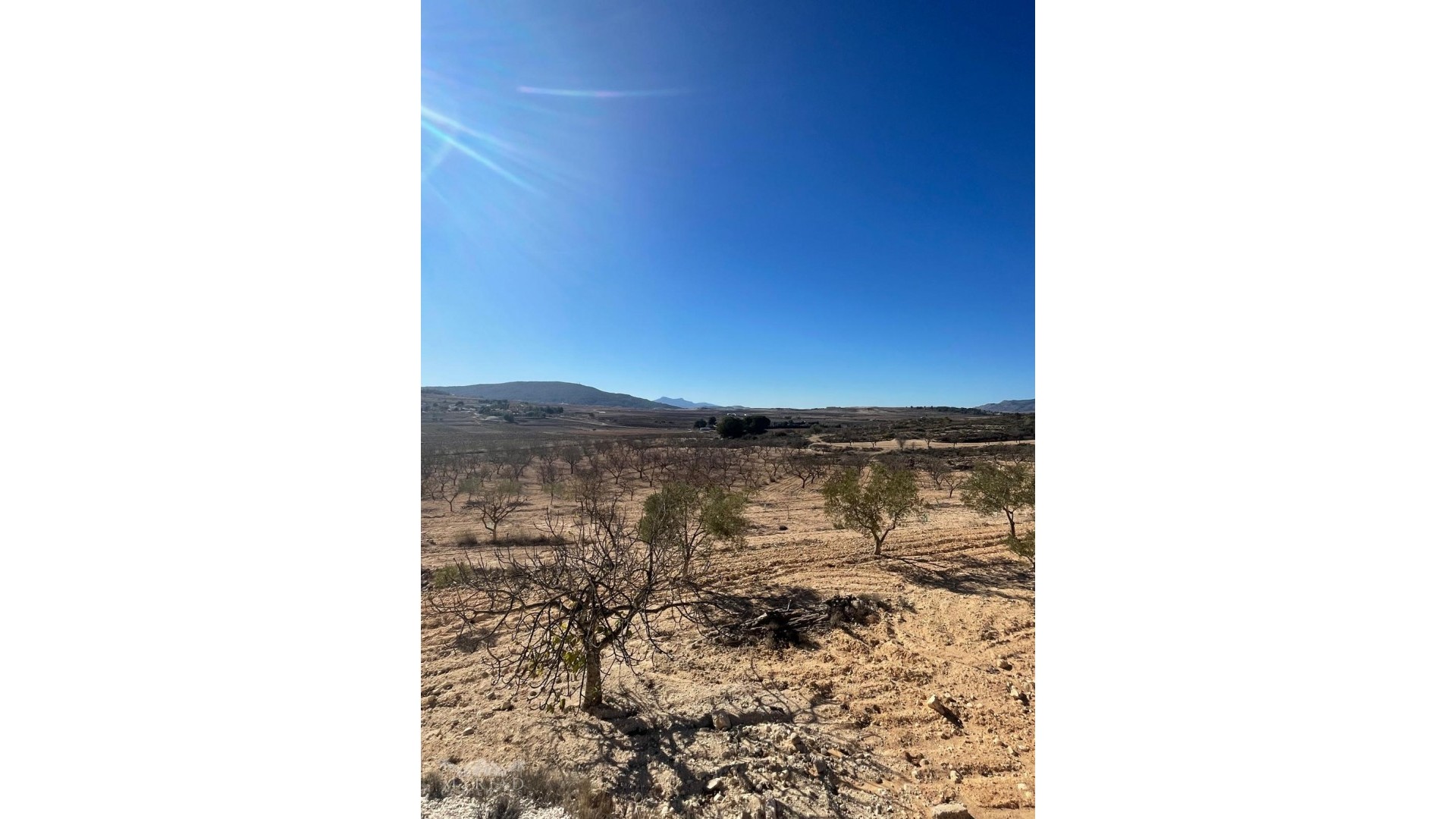 Revente - Parcelle Terrain -
Culebr&oacute;n - Culebr&oacute;n Alicante