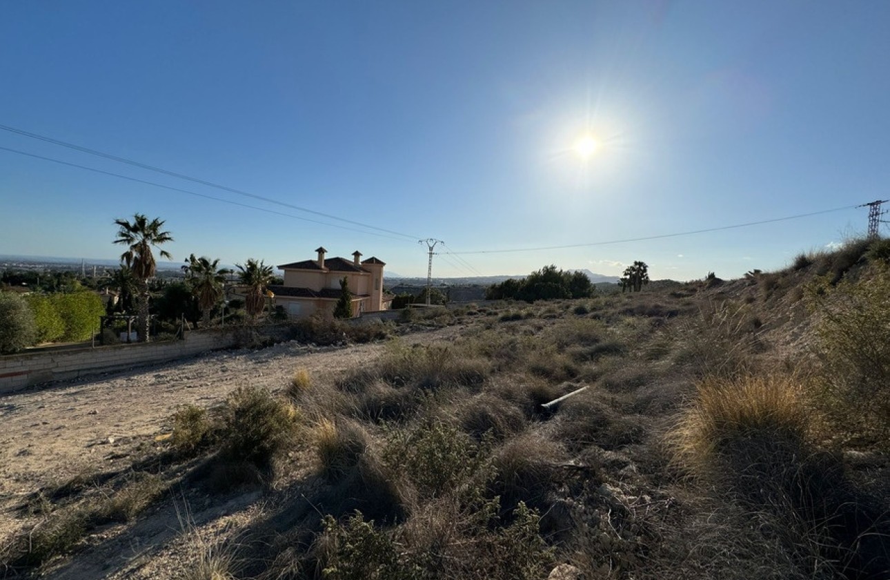 Revente - Parcelle / Terrain -
Elche - Xeresa Del Monte