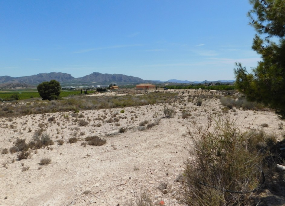 Revente - Parcelle Terrain -
Fortuna - FORTUNA (MURCIA)