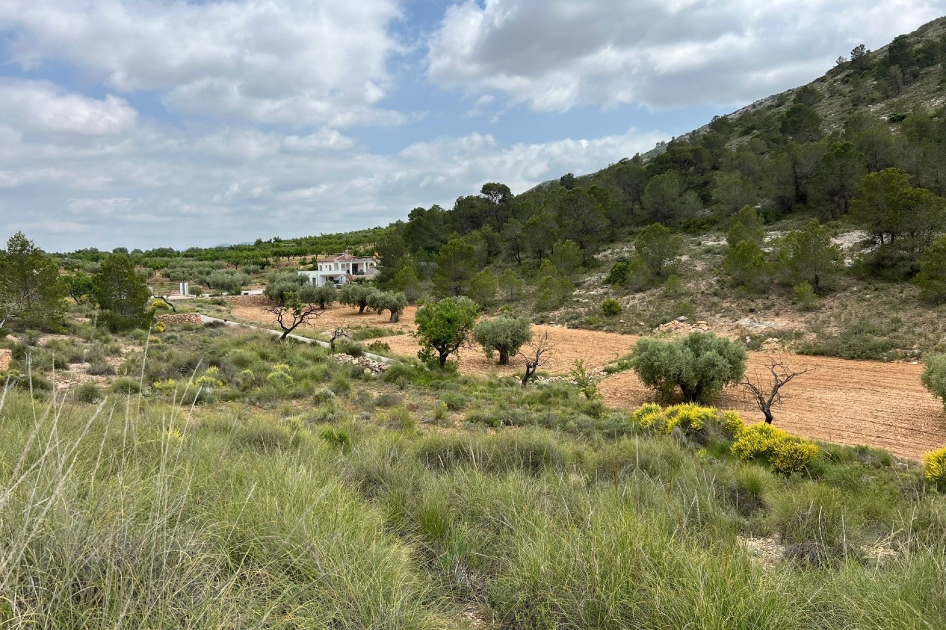 Revente - Parcelle Terrain -
Hondón de las Nieves