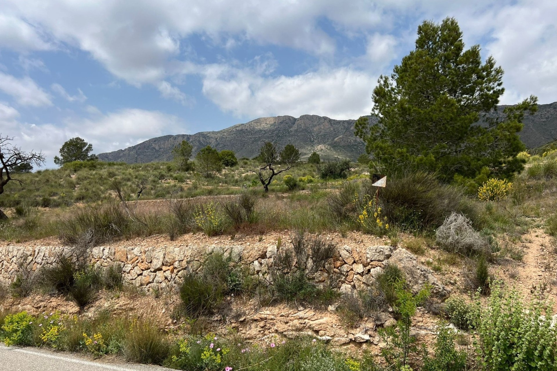 Revente - Parcelle Terrain -
Hondón de las Nieves