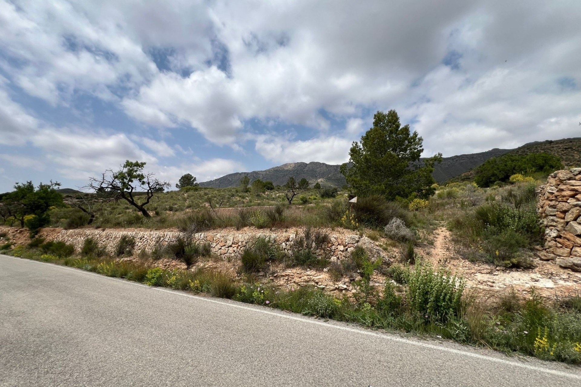 Revente - Parcelle Terrain -
Hondón de las Nieves