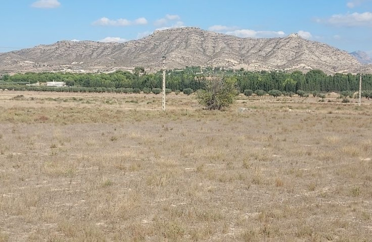Revente - Parcelle Terrain -
Hondón de las Nieves