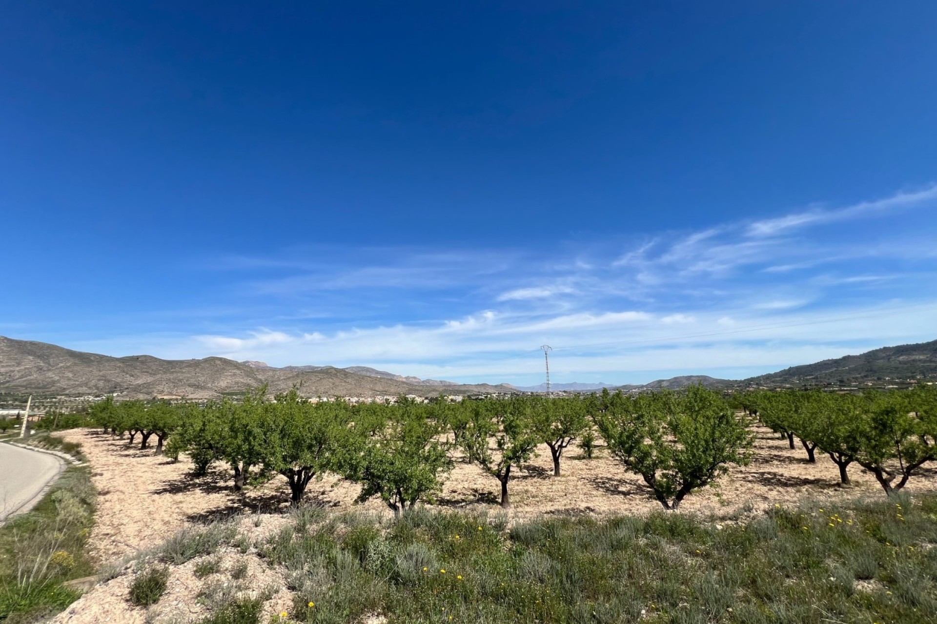Revente - Parcelle / Terrain -
Hondón de los Fráiles