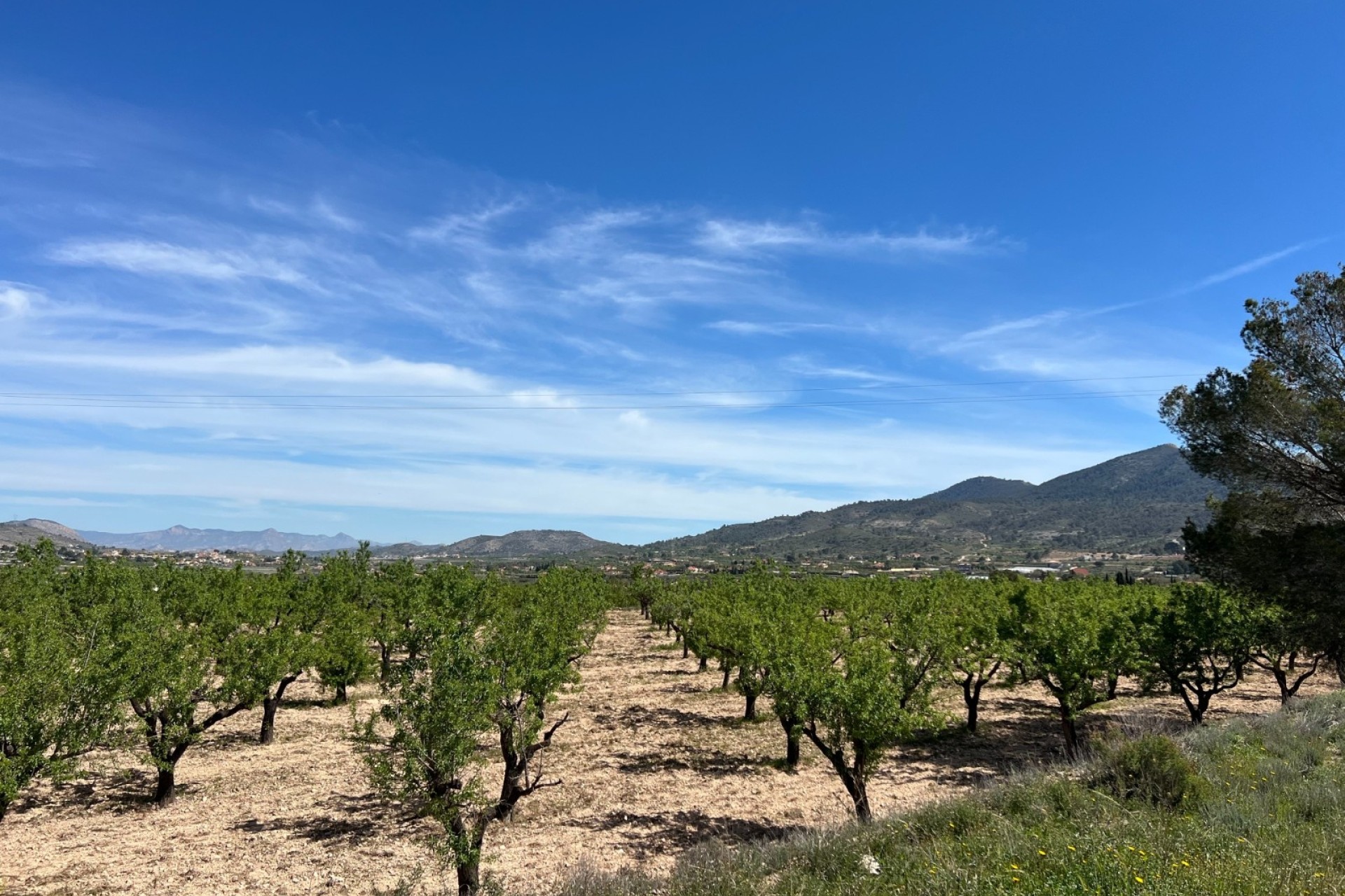 Revente - Parcelle / Terrain -
Hondón de los Fráiles
