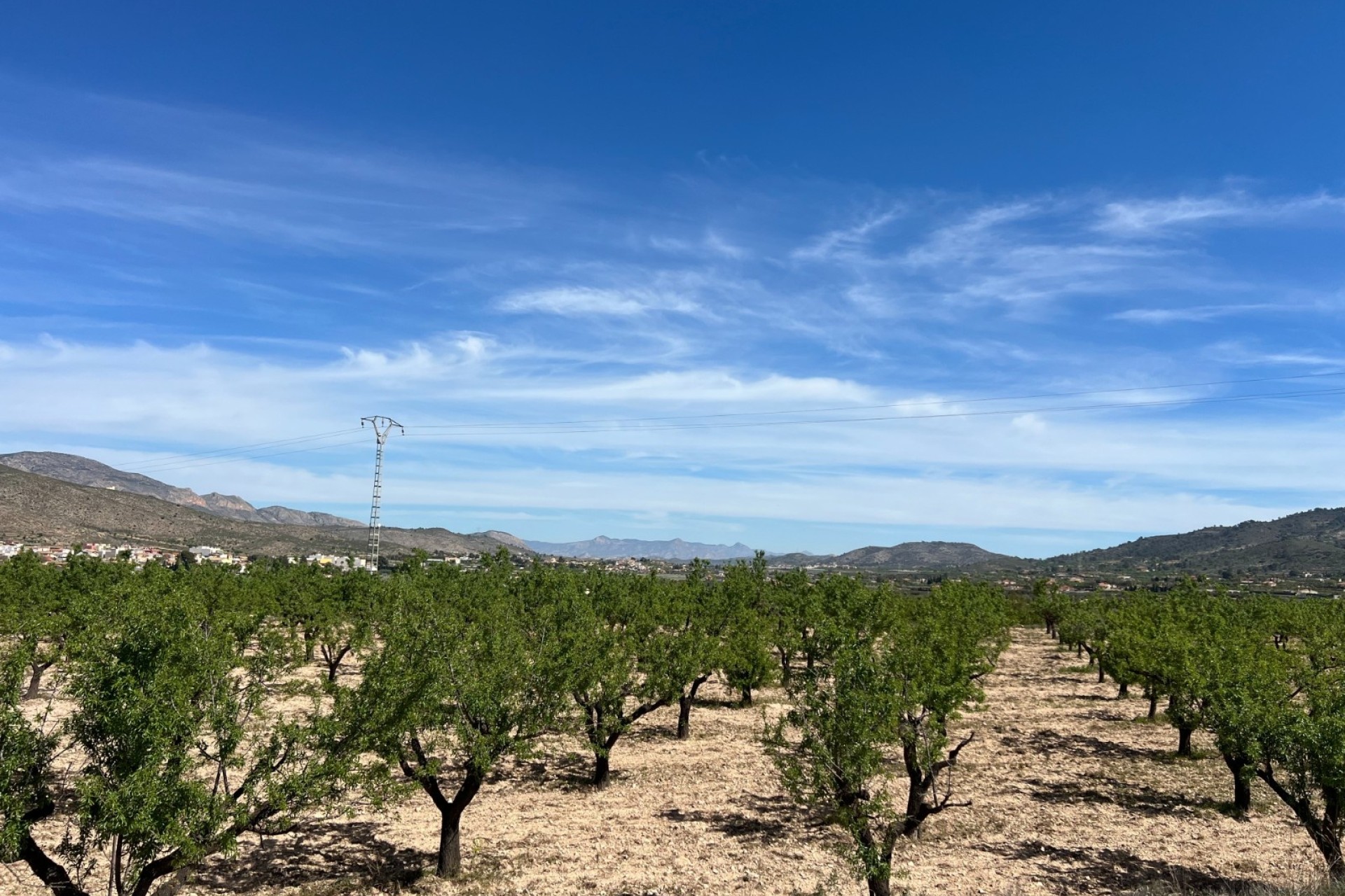 Revente - Parcelle / Terrain -
Hondón de los Fráiles