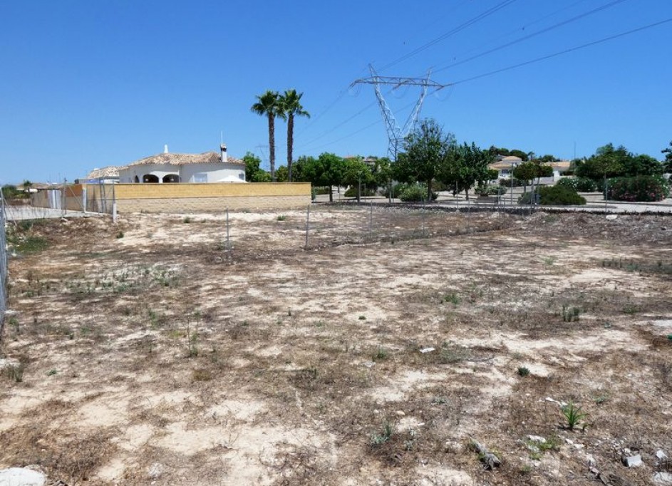 Revente - Parcelle Terrain -
La Marina - Oasis