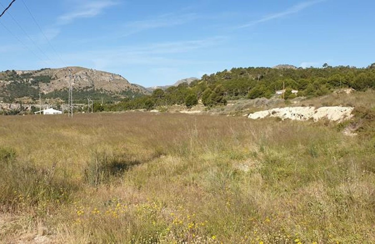 Revente - Parcelle Terrain -
La Romana