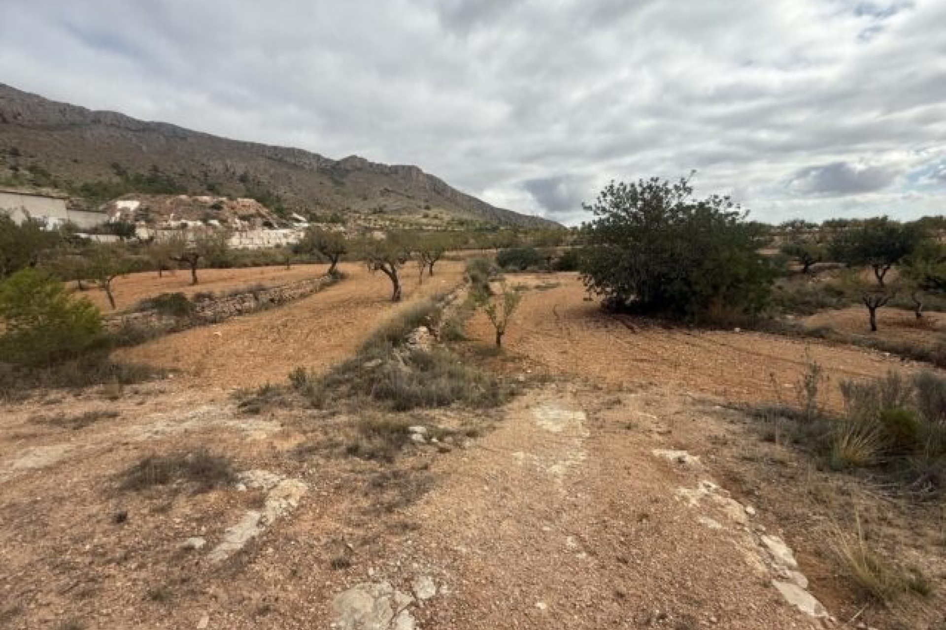 Revente - Parcelle Terrain -
La Romana