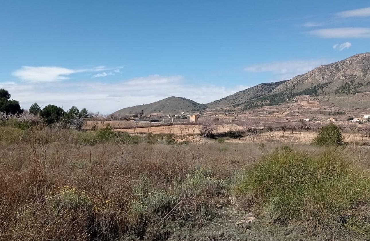 Revente - Parcelle Terrain -
La Romana