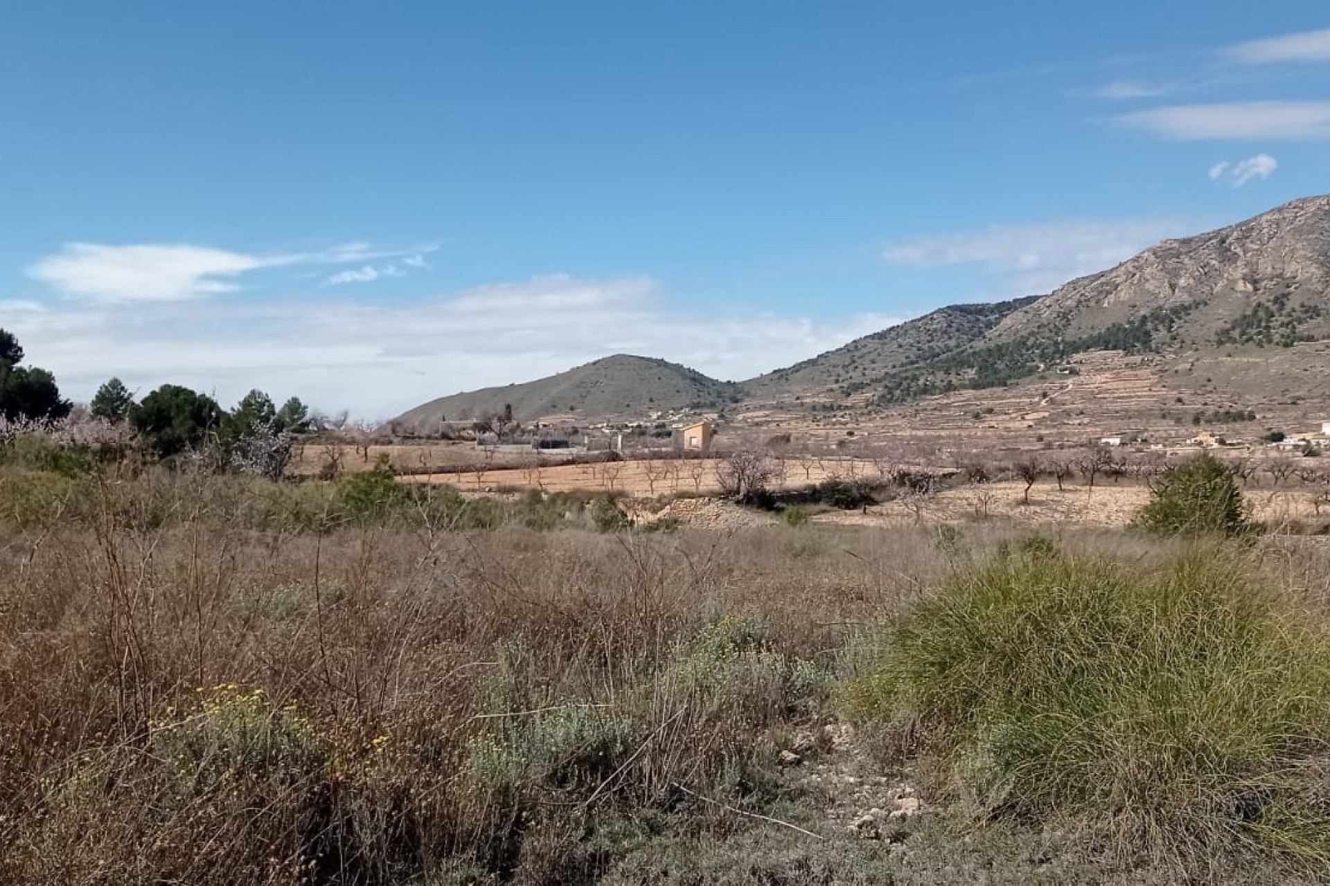 Revente - Parcelle Terrain -
La Romana