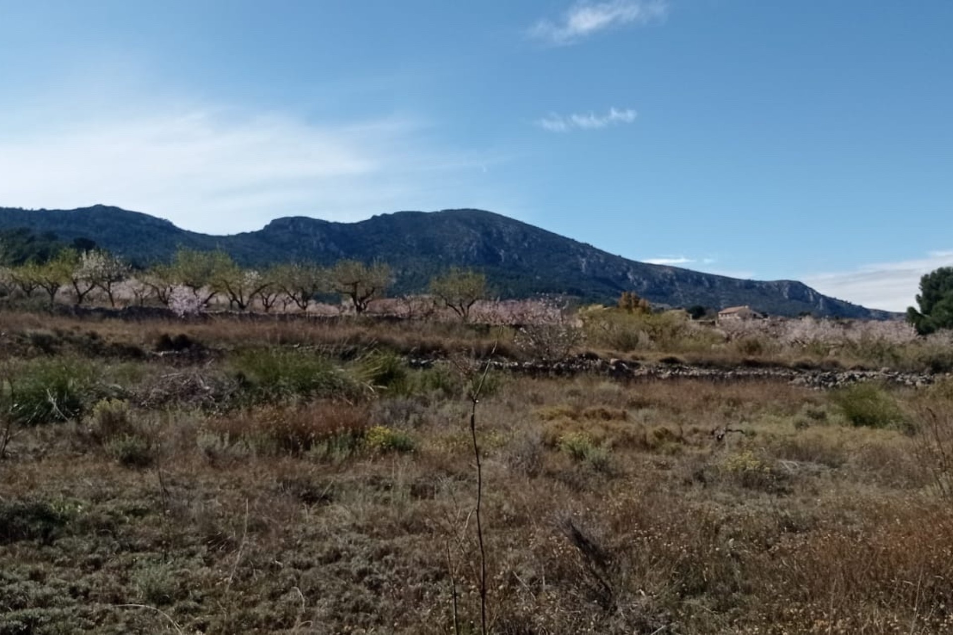 Revente - Parcelle Terrain -
La Romana