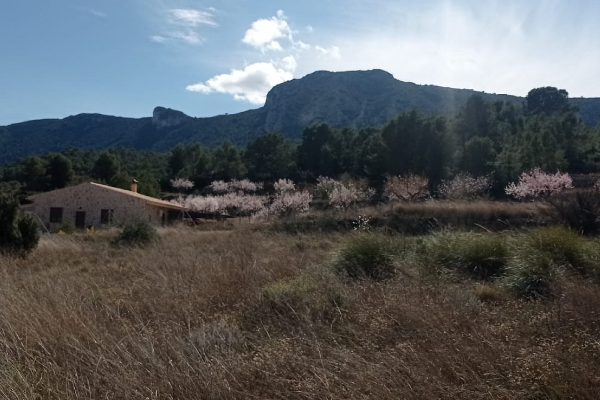 Revente - Parcelle Terrain -
La Romana