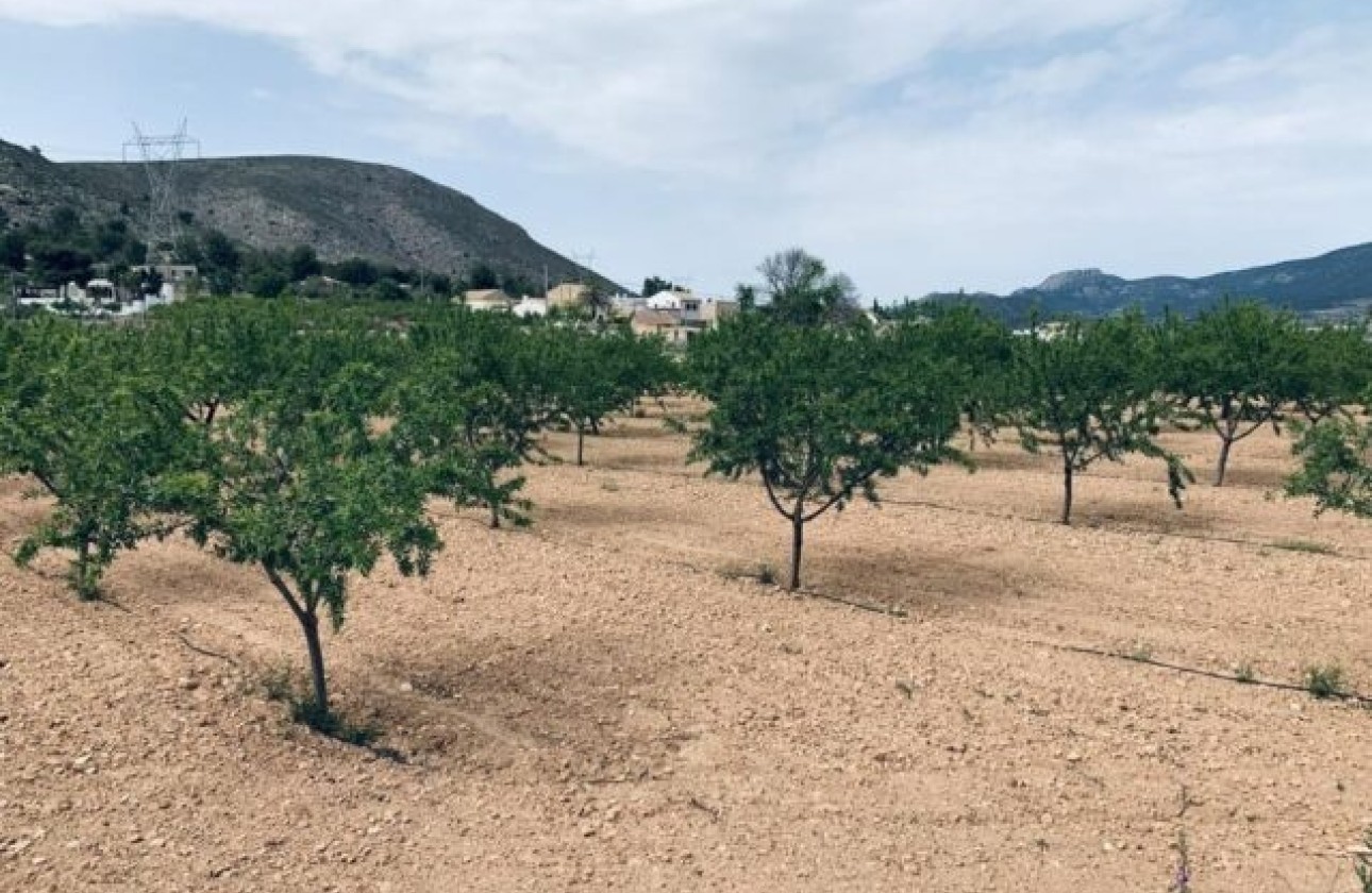 Revente - Parcelle Terrain -
La Romana